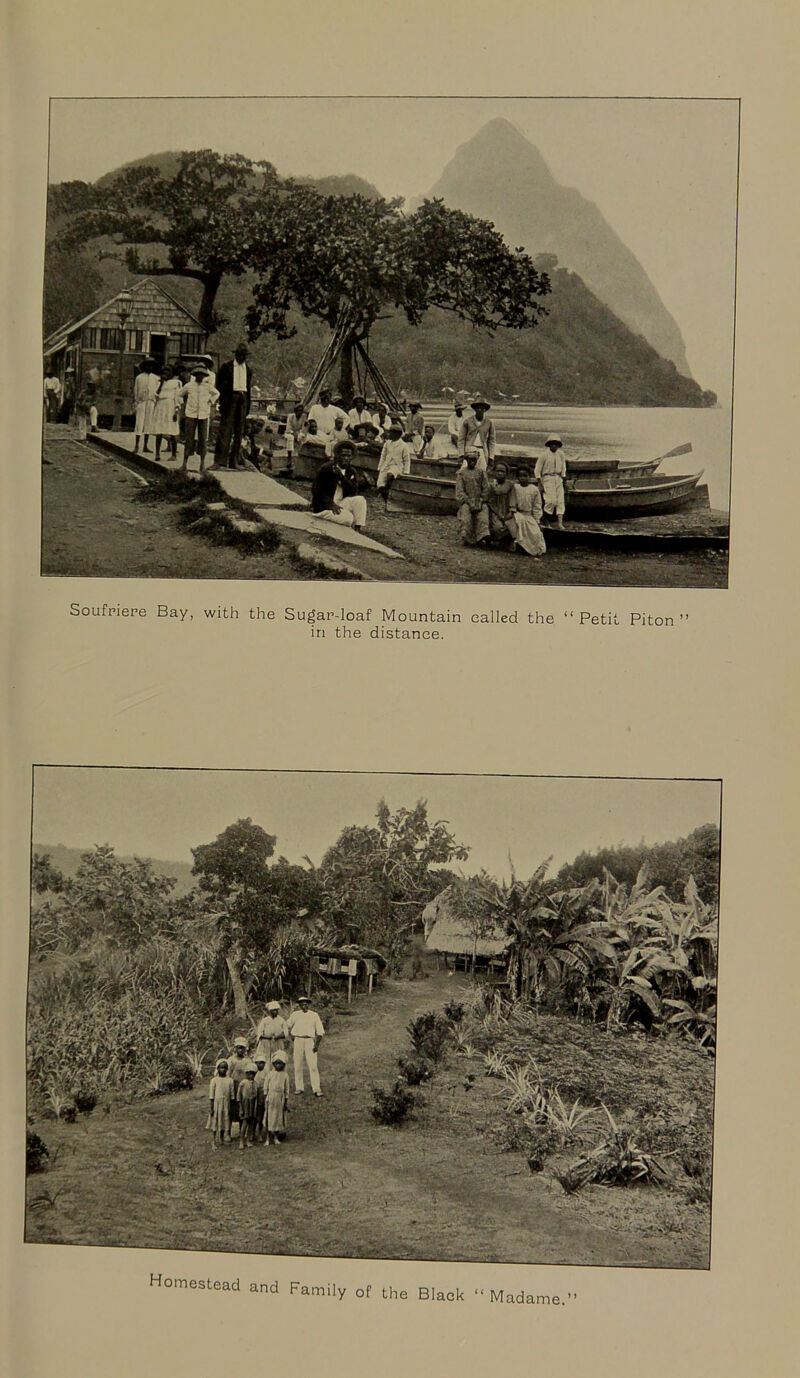 Soufriere Bay, with the Sugar-loaf Mountain called the in the distance. Petit Piton ” Homestead and Family of the Black “ Madarr