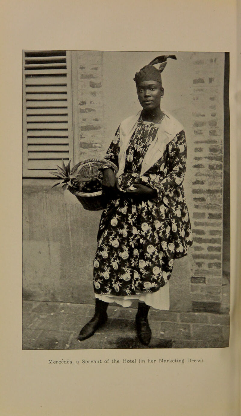 Mercedes, a Servant of the Hotel (in her Marketing Dress).