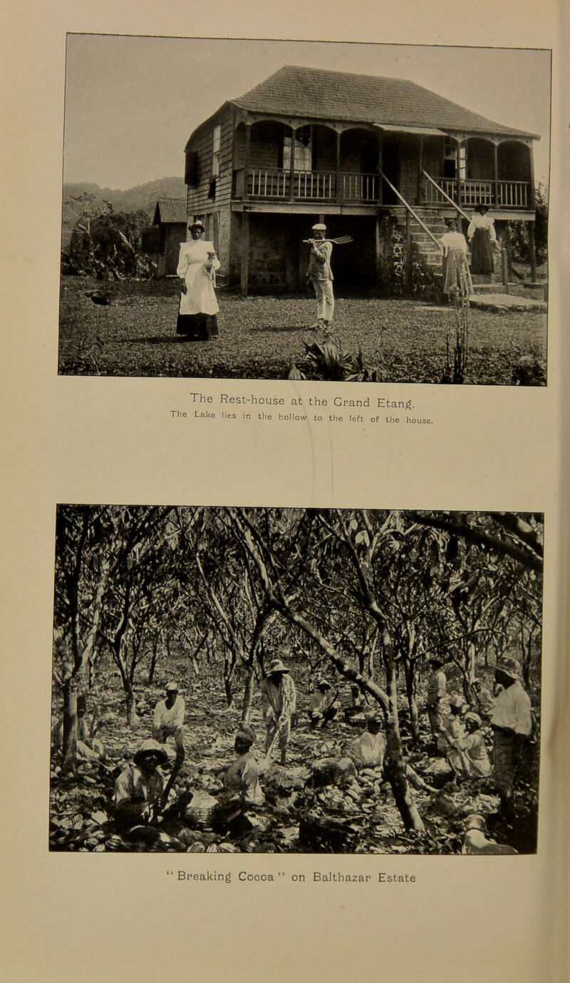 The Rest-house at the Grand Etang. The Lake lies in the hollow to the left of the house. “ Breaking Cocoa ” on Balthazar Estate