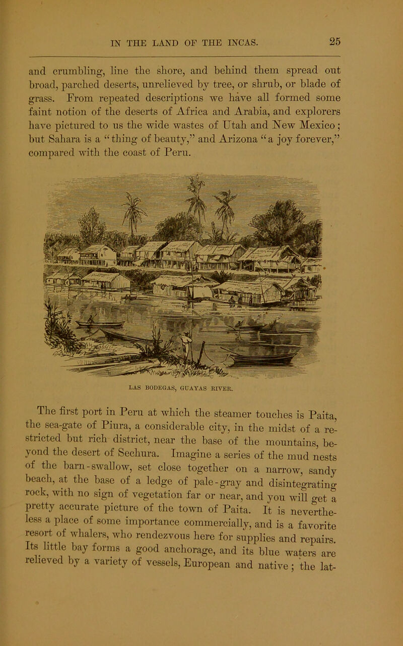 and crumbling, line the shore, and behind them spread out broad, parched deserts, unrelieved by tree, or shrub, or blade of grass. From repeated descrijDtions we have all formed some faint notion of the deserts of Africa and Arabia, and explorers have pictured to us the wide wastes of Utah and Uew Mexico; but Sahara is a “thing of beauty,” and Arizona “a joy forever,” compared with the coast of Peru. LAS BODEGAS, GDAYAS RITER. The first port in Peru at which the steamer touches is Paita, the sea-gate of Piura, a considerable city, in the midst of a re- stiicted but rich district, near the base of the mountains, be- yond the desert of Sechura. Imagine a series of the mud nests of the barn-swallow, set close together on a narrow, sandy beach, at the base of a ledge of pale-gray and disintegrating rock, with no sign of vegetation far or near, and you will get a pretty accurate picture of the town of Paita. It is neverthe- less a place of some importance commercially, and is a favorite resort of whalers, who rendezvous here for supplies and repairs. Its little bay forms a good anchorage, and its blue waters are relieved by a variety of vessels, European and native; the lat-