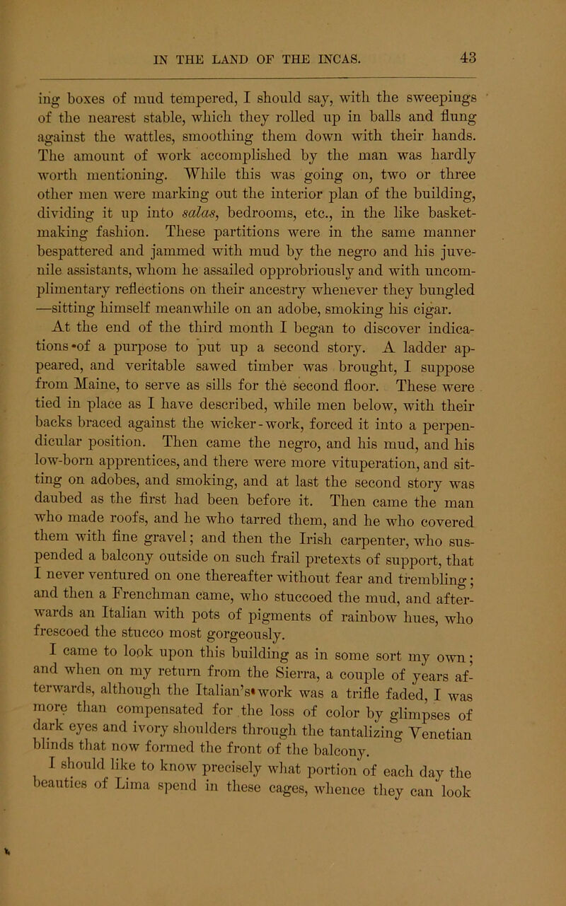 iug boxes of mud tempered, I should say, with the sweepings of the nearest stable, which they rolled up in balls and flung against the wattles, smoothing them down with their hands. The amount of work accomplished by the man was hardly worth mentioning. While this was going on, two or three other men were marking out the interior plan of the building, dividing it up into solas, bedrooms, etc., in the like basket- making fashion. These partitions were in the same manner bespattered and jammed with mud by the negro and his juve- nile assistants, whom he assailed opprobriously and with uncom- plimentary reflections on their ancestry whenever they bungled —sitting himself meanwhile on an adobe, smoking his cigar. At the end of the third month I began to discover indica- tions-of a purpose to put up a second story. A ladder ap- peared, and veritable sawed timber was brought, I suppose from Maine, to serve as sills for the second floor. These were tied in place as I have described, while men below, with their backs braced against the wicker-work, forced it into a perpen- dicular position. Then came the negro, and his mud, and his low-born apprentices, and there were more vituperation, and sit- ting on adobes, and smoking, and at last the second story was daubed as the flrst had been before it. Then came the man who made roofs, and he who tarred them, and he who covered them with flne gravel; and then the Irish carpenter, who sus- pended a balcony outside on such frail pretexts of support, that I never ventured on one thereafter without fear and trembling 5 and then a Frenchman came, who stuccoed the mud, and after- wards an Italian with pots of pigments of rainbow hues, who frescoed the stucco most gorgeously. I came to look upon this building as in some sort my own; and when on my return from the Sierra, a couple of years af- terwards, although the Italian’s*work was a trifle faded, I was more than compensated for the loss of color by glimpses of dark eyes and ivory shoulders through the tantalizing Venetian blinds that now formed the front of the balcony. I should like to know precisely what portion of each day the beauties of Lima spend in these cages, whence they can' look