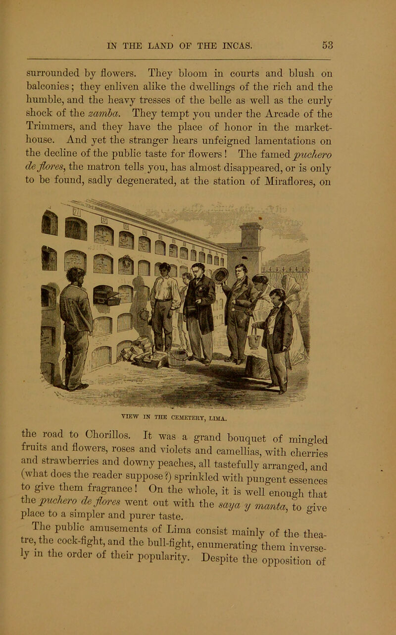 surrounded by flowers. They bloom in courts and blush on balconies; they enliven alike the dwellings of the rich and the humble, and the heavy tresses of the belle as well as the curly shock of the za/mba. They tempt you under the Arcade of the Trimmers, and they have the place of honor in the market- house. And yet the stranger hears unfeigned lamentations on the decline of the public taste for flowers! The famed pucKero dejlores, the matron tells you, has almost disappeared, or is only to be found, sadly degenerated, at the station of Miraflores, on VIEW IN THE CEMETERY, T.TMA the^ road to Chorillos. It was a grand bouquet of mingled fruits and flowers, roses and violets and camellias, with cherries and strawberries and downy peaches, all tastefully arranged and (what does the reader sui^pose?) sprinkled with pungent essences to give them fryrance! On the whole, it is welfenough that th^puchew dejlores went out with the saya y mcmta, to o-ive place to a simpler and purer taste. ^ Tlie public amusements of Lima consist mainly of the thea- tre, the cock-fight, and the bull-fight, enumerating them inverse- ly m the order of their popularity. Despite the opposition of