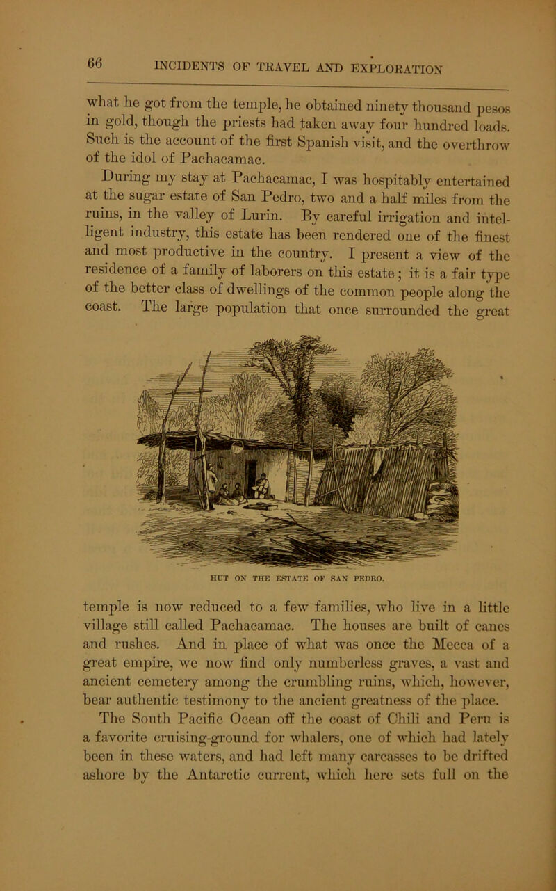 what he got from the temple, he obtained ninety thousand pesos in gold, though the priests had taken away four hundred loads. Such is the account of the first Spanish visit, and the overthrow of the idol of Pachacamac. During my stay at Pachacamac, I was hospitably entertained at the sugar estate of San Pedro, two and a half miles from the ruins, in the valley of Lurin. By careful irrigation and intel- ligent industry, this estate has been rendered one of the finest and most productive in the country. I present a view of the residence of a family of laborers on this estate; it is a fair type of the better class of dwellings of the common people along the coast. The large population that once surrounded the great HUT ON THE ESTATE OF SAN PEDRO. temple is now reduced to a few families, who live in a little village still called Pachacamac. The houses are built of canes and rushes. And in j)lace of what was once the Mecca of a great emjjire, we now find only numberless graves, a vast and ancient cemeteiy among the crumbling ruins, which, however, bear authentic testimony to the ancient greatness of the place. The South Pacific Ocean off the coast of Chili and Peru is a favorite cruising-ground for whalers, one of Avhich had lately been in these waters, and had left many carcasses to be drifted ashore by the Antarctic current, which here sets full on the