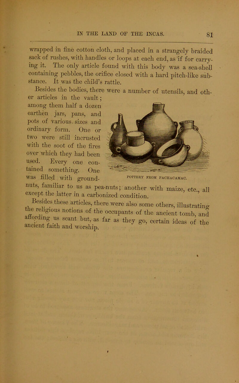 wrapped in fine cotton cloth, and placed in a strangely braided sack of rushes, Avith handles or loops at each end, as if for carry- ing it. The only article found with this body was a sea-shell containing pebbles, the orifice closed with a hard pitch-like sub- stance. It Avas the child’s rattle. Besides the bodies, there were a number of utensils, and oth- er articles in the vault; among them half a dozen earthen jars, pans, and pots of various, sizes and ordinary form. One or two were still incrusted with the soot of the fires over which they had been used. Every one con- tained something. One was filled with ground- nuts, familiar to us as pea-nuts; another with maize, etc. all except the latter in a carbonized condition. ’ Besides these articles, there were also some others, illustrating e religious notions of the occupants of the ancient tomb, and feW f ideas of the ancient faith and worship. POTTERY FROM PACHACAMAC. (