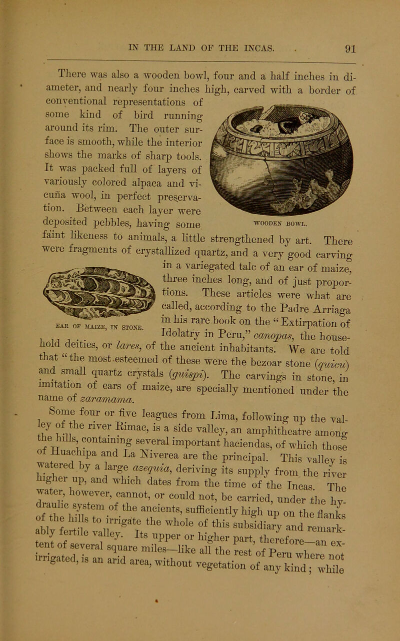 WOODEN BOWL. Tliere was also a wooden bowl, four and a half inches in di- ameter, and nearlj four inches high, carved with a border of conventional representations of some kind of bird riinning: around its rim. The outer sur- face is smooth, while the interior shows the marks of sharp tools. It was packed full of layers of variously colored alpaca and vi- cuna wool, in perfect preserva- tion. Between each layer were deposited pebbles, having some faint likeness to animals, a little strengthened by art. There were fragments of crystallized quartz, and a very good carving in a variegated talc of an ear of maize, three inches long, and of just propor- tions. These articles were what are called, according to the Padre Arriaga in his rare book on the “Extirpation of . Idolatry in Peru,” canojpas, the house- hold deities, or lares, of the ancient inhabitants. We are told that “the most-esteemed of these were the bezoar stone (quicu) and small quartz crystals {guispi). The carvings in stone, in imitation of ears of maize, are specially mentioned under the name of zaramama. Some four or five leagues from Lima, following up the val- ey of the river Pimac, is a side valley, an amphitheatre among le hills containing several important haciendas, of which those 0 Iluachipa and La Niverea are the principal. This vallev is watered by a large azequia, deriving its supply from the river water, however, cannot, or could not, be carried, under the hv drau^lic system of the ancients, sufficiently high up on tlieflmif o the hills t„ in-ighte the .hole of this Lbsidir^.d % fertde valley. Its upper or higher part, thcrefore-r f tent of several square miles—like all the rest n-F P v ^ irrigated, is an arid area, without vegetation ofaJhirdS EAR OF MAIZE, IN STONE.