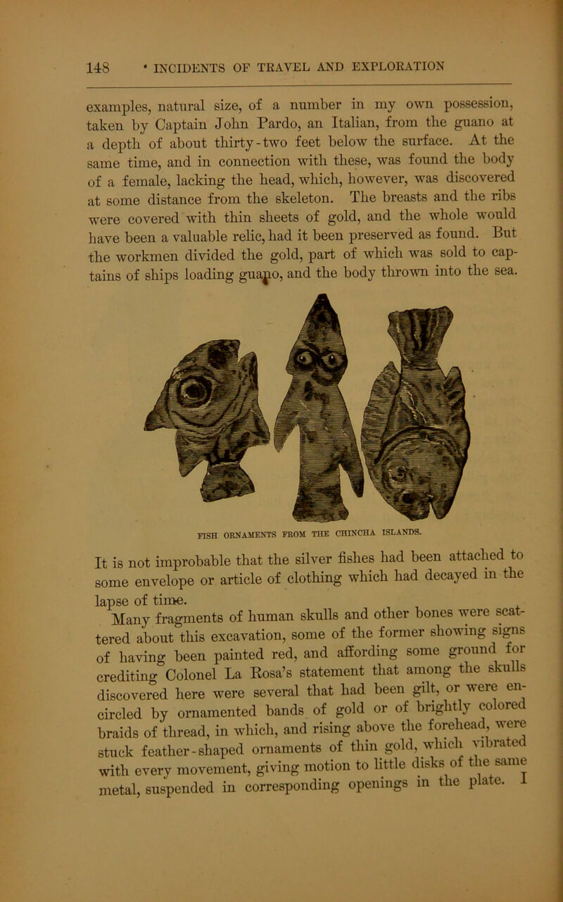 examples, natural size, of a number in my own possession, taken by Captain John Pardo, an Italian, from the guano at a depth of about thirty-two feet below the surface. At the same time, and in connection with these, was found the body of a female, lacking the head, which, however, was discovered at some distance from the skeleton. The breasts and the ribs were covered with thin sheets of gold, and the whole would have been a valuable relic, had it been preserved as found. But the workmen divided the gold, part of which was sold to cap- tains of ships loading gua^o, and the body tlirown into the sea. FISH ORNAMENTS FROM THE CHINCHA ISLANDS. It is not improbable that the silver fishes had been attached to some envelope or article of clothing which had decayed in the lapse of time. Many fragments of human skulls and other bones were scat- tered about this excavation, some of the former showing signs of having been painted red, and affording some ground for crediting Colonel La Kosa’s statement that among the skulls discovered here were several that had been gilt, or were en- circled by ornamented bands of gold or of brightly colored braids of thread, in which, and rising above the forehead, were stuck feather-shaped ornaments of thin gold, which vibrate with every movement, giving motion to little disks of the same metal, suspended in corresponding openings m the plate.