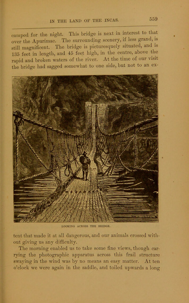 LOOKING ACROSS THE BRIDGE. tent that made it at all dangerous, and our animals crossed with- out giving us any difficulty. The morning enabled us to take some fine views, though car- rying the photographic apparatus across this frail structure swaying in the wind was by no means an easy matter. At ten o’clock we were again in the saddle, and toiled upwards a long camped for the night. This bridge is next in interest to that over the Apurimac. The surrounding scenery, if less grand, is still magnificent. The bridge is picturesquely situated, and is 135 feet in length, and 45 feet high, in the centre, above the rapid and broken waters of the river. At the time of our visit the bridge had sagged somewhat to one side, but not to an ex-