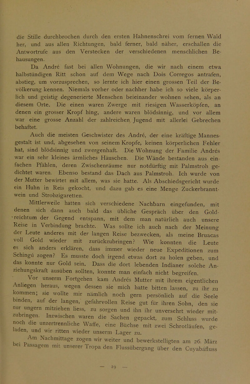 die Stille durchbrochen durch den ersten Hahnenschrei vom fernen Wald her, und aus allen Richtungen, bald ferner, bald näher, erschallen die Antwortrufe aus den Verstecken der verschiedenen menschlichen Be- hausungen. Da Andre fast bei allen Wohnungen, die wir nach einem etwa halbstündigen Ritt schon auf dem Wege nach Dois Corregos antrafen, abstieg, um vorzusprechen, so lernte ich hier einen grossen Teil der Be- völkerung kennen. Niemals vorher oder nachher habe ich so viele körper- lich und geistig degenerierte Menschen beieinander wohnen sehen, als an diesem Orte. Die einen waren Zwerge mit riesigen Wasserköpfen, an denen ein grosser Kropf hing, andere waren blödsinnig, und vor allem war eine grosse Anzahl der zahlreichen Jugend mit allerlei Gebrechen behaftet. Auch die meisten Geschwister des Andre, der eine kräftige Mannes- gestalt ist und, abgesehen von seinem Kropfe, keinen körperlichen Fehler hat, sind blödsinnig und zwergenhaft. Die Wohnung der Familie Andres war ein sehr kleines ärmliches Häuschen. Die Wände bestanden aus ein- fachen Pfählen, deren Zwischenräume nur notdürftig mit Palmstroh ge- dichtet waren. Ebenso bestand das Dach aus Palmstroh. Ich wurde von der Mutter bewirtet mit allem, was sie hatte. Als Abschiedsgericht wurde ein Huhn in Reis gekocht, und dazu gab es eine Menge Zuckerbrannt- wein und Strohzigaretten. Mittlerweile hatten sich verschiedene Nachbarn eingefunden, mit denen sich dann auch bald das übliche Gespräch über den Gold- • reichtum der Gegend entspann, mit dem man natürlich auch unsere Reise in Verbindung brachte. Was sollte ich auch nach der Meinung der Leute anderes mit der langen Reise bezwecken, als meine Bruacas voll Gold wieder mit zurückzubringen? Wie konnten die Leute es sich anders erklären, dass immer wieder neue Expeditionen zum Schingü zogen? Es musste doch irgend etwas dort zu holen geben, und das konnte nur Gold sein. Dass die dort lebenden Indianer solche An- ziehungskraft ausüben sollten, konnte man einfach nicht begreifen. Vor unserm Fortgehen kam Andres Mutter mit ihrem eigentlichen Anliegen heraus, wegen dessen sie mich hatte bitten lassen, zu ihr zu kommen; sie wollte mir nämlich noch gern persönlich auf die Seele binden, auf der langen, gefahrvollen Reise gut für ihren Sohn, den sie nur ungern mitziehen liess, zu sorgen und ihn ihr unversehrt wieder mit- z.ubringen. Inzwischen waren die Sachen gepackt, zum Schluss wurde noch die unzertrennliche Waffe, eine Büchse mit zwei Schrotläufen, ge- aden, und wir ritten wieder unserm Lager zu. Am Nachmittage zogen wir weiter und bewerkstelligten am 26 März bei Passagen, mit unserer Tropa den Flussübergang über den Cuyabafluss