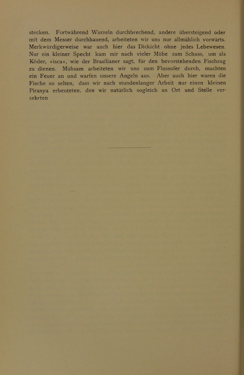 stecken. Fortwährend Wurzeln durchbrechend, andere übersteigend oder mit dem Messer durchhauend, arbeiteten wir uns nur allmählich vorwärts. Merkwürdigerweise war auch hier das Dickicht ohne jedes Lebewesen. Nur ein kleiner Specht kam mir nach vieler Mühe zum Schuss, um als Köder, »isca«, wie der Brasilianer sagt, für den bevorstehenden Fischzug zu dienen. Mühsam arbeiteten wir uns zum Flussufer durch, machten ein Feuer an und warfen unsere Angeln aus. Aber auch hier waren die Fische so selten, dass wir nach stundenlanger Arbeit nur einen kleinen Piranya erbeuteten, den wir natürlich sogleich an Ort und Stelle ver- zehrten