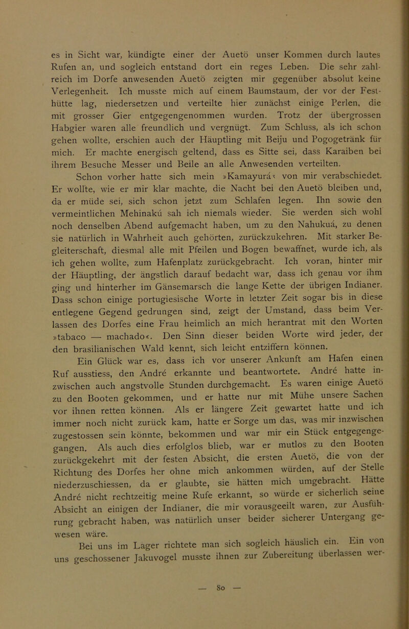 es in Sicht war, kündigte einer der Auetö unser Kommen durch lautes Rufen an, und sogleich entstand dort ein reges Leben. Die sehr zahl- reich im Dorfe anwesenden Auetö zeigten mir gegenüber absolut keine Verlegenheit. Ich musste mich auf einem Baumstaum, der vor der Fest- hütte lag, niedersetzen und verteilte hier zunächst einige Perlen, die mit grosser Gier entgegengenommen wurden. Trotz der übergrossen Habgier waren alle freundlich und vergnügt. Zum Schluss, als ich schon gehen wollte, erschien auch der Häuptling mit Beiju und Pogogetränk für mich. Er machte energisch geltend, dass es Sitte sei, dass Karaiben bei ihrem Besuche Messer und Beile an alle Anwesenden verteilten. Schon vorher hatte sich mein »Kamayurä< von mir verabschiedet. Er wollte, wie er mir klar machte, die Nacht bei den Auetö bleiben und, da er müde sei, sich schon jetzt zum Schlafen legen. Ihn sowie den vermeintlichen Mehinakü sah ich niemals wieder. Sie werden sich wohl noch denselben Abend aufgemacht haben, um zu den Nahukuä, zu denen sie natürlich in Wahrheit auch gehörten, zurückzukehren. Mit starker Be- gleiterschaft, diesmal alle mit Pfeilen und Bogen bewaffnet, wurde ich, als ich gehen wollte, zum Hafenplatz zurückgebracht. Ich voran, hinter mir der Häuptling, der ängstlich darauf bedacht war, dass ich genau vor ihm ging und hinterher im Gänsemarsch die lange Kette der übrigen Indianer. Dass schon einige portugiesische Worte in letzter Zeit sogar bis in diese entlegene Gegend gedrungen sind, zeigt der Umstand, dass beim Ver- lassen des Dorfes eine Frau heimlich an mich herantrat mit den Worten »tabaco — machado«. Den Sinn dieser beiden Worte wird jeder, der den brasilianischen Wald kennt, sich leicht entziffern können. Ein Glück war es, dass ich vor unserer Ankunft am Hafen einen Ruf ausstiess, den Andre erkannte und beantwortete. Andre hatte in- zwischen auch angstvolle Stunden durchgemacht. Es waren einige Auetö zu den Booten gekommen, und er hatte nur mit Mühe unsere Sachen vor ihnen retten können. Als er längere Zeit gewartet hatte und ich immer noch nicht zurück kam, hatte er Sorge um das, was mir inzwischen zugestossen sein könnte, bekommen und war mir ein Stück entgegenge- gangen. Als auch dies erfolglos blieb, war er mutlos zu den Booten zurückgekehrt mit der festen Absicht, die ersten Auetö, die von der Richtung des Dorfes her ohne mich ankommen würden, auf der Stelle niederzuschiessen, da er glaubte, sie hätten mich umgebracht. Hätte Andre nicht rechtzeitig meine Rufe erkannt, so würde er sicherlich seine Absicht an einigen der Indianer, die mir vorausgeeilt waren, zur Ausfüh- rung gebracht haben, was natürlich unser beider sicherer Untergang ge- wesen wäre. . Bei uns im Lager richtete man sich sogleich häuslich ein. Ein von uns geschossener Jakuvogel musste ihnen zur Zubereitung überlassen So