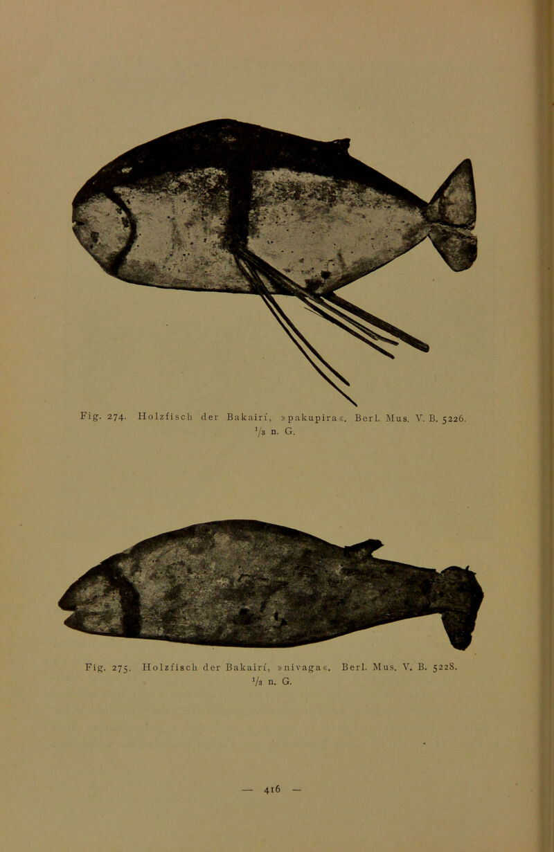 FigT- 274' Holzfisch der Bakairi, »pakupira«. Berl. Mus. V. B. 5226. Vs n. G. Fig. 275. Holzfisch der Bakairi, »nivaga«. Berl. Mus. V. B. 522S. J/s n. G.