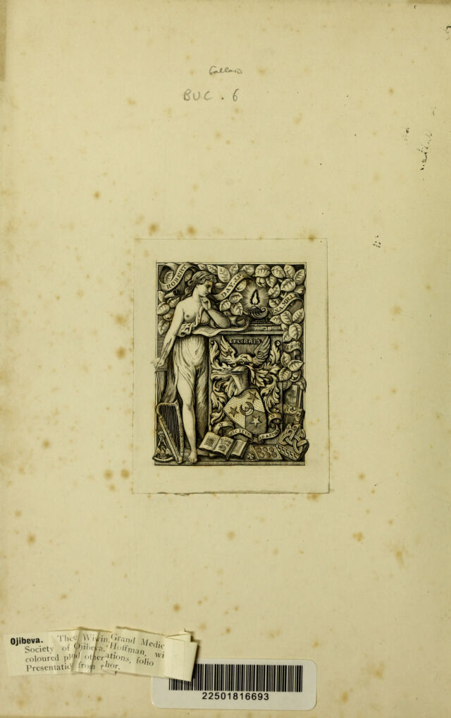digitised image 2