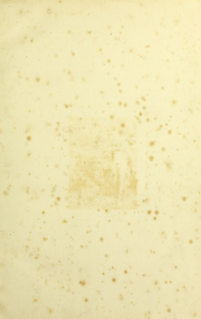 digitised image 3