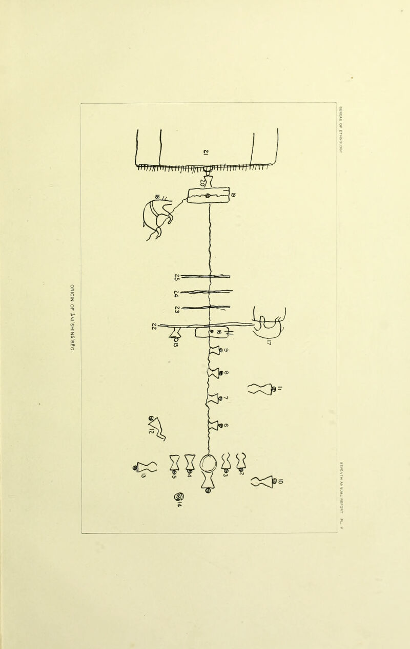 ORIGIN OF ANI'SHINA'BEG.