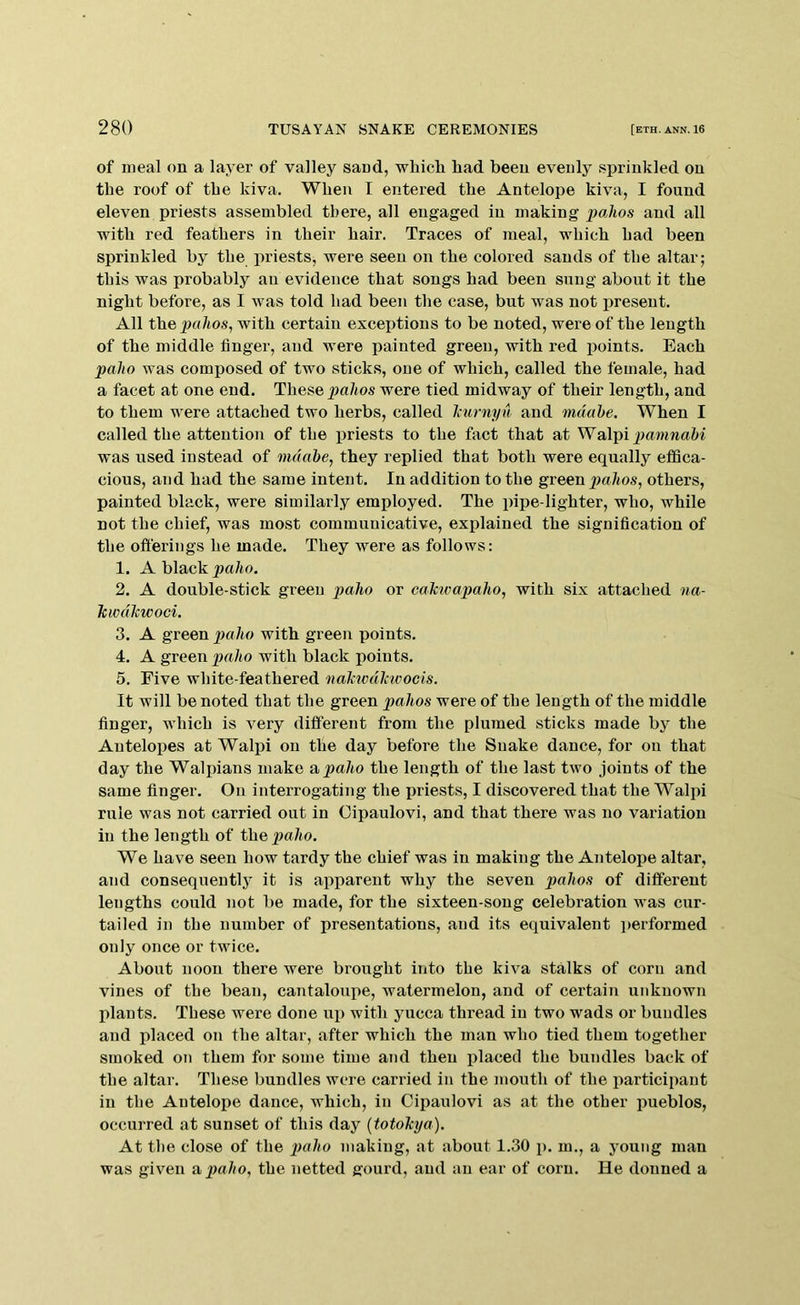 of meal on a layer of valley sand, whicli had been evenly sprinkled on the roof of the kiva. When I entered the Antelope kiva, I found eleven priests assembled there, all engaged in making pahos and all with red feathers in their hair. Traces of meal, which had been sprinkled by the priests, were seen on the colored sands of the altar; this was probably an evidence that songs had been sung about it the night before, as I was told had been the case, but was not present. All the with certain exceptions to be noted, were of the length of the middle finger, and were painted green, with red points. Each paJio was composed of two sticks, one of which, called the female, had a facet at one end. These were tied midway of their length, and to them were attached two herbs, called Icurnyn and mdahe. When I called the attention of the priests to the fact that at WaXpi pamnahi was used instead of mdade, they replied that both were equally effica- cious, and had the same intent. In addition to the green pahos, others, painted black, were similarly employed. The pipe-lighter, who, while not the chief, was most communicative, explained the signification of the offerings he made. They were as follows: 1. Ablackpa/to. 2. A double-stick green paho or cahwapaho, with six attached na- kiodJewoci. 3. A green paho with green points. 4. A green paho with black points. 5. Five white-feathered nakwdlcivocis. It will be noted that the green pahos were of the length of the middle finger, which is very different from the plumed sticks made by the Antelopes at Waljii on the day before the Snake dance, for on that day the Walpians make a, paho the length of the last two joints of the same finger. On interrogating the priests, I discovered that the Walpi rule was not carried out in Cipaulovi, and that there was no variation in the length of t\xepalio. We have seen how tardy the chief was in making the Antelope altar, and consequently it is apparent why the seven pahos of different lengths could not be made, for the sixteen-song celebration was cur- tailed in the number of presentations, and its equivalent performed only once or twice. About noon there were brought into the kiva stalks of com and vines of the bean, cantaloupe, watermelon, and of certain unknown lilauts. These were done up with yucca thread in two wads or bundles and placed on the altar, after which the man who tied them together smoked on them for some time aiid then placed the bundles back of the altar. These bundles were carried in the mouth of the participant in the Antelope dance, which, in Cipaulovi as at the other pueblos, occurred at sunset of this day (totokya). At tlie close of the making, at about 1.30 p. m., a young man was given a,paho, the netted gourd, and an ear of corn. He donned a