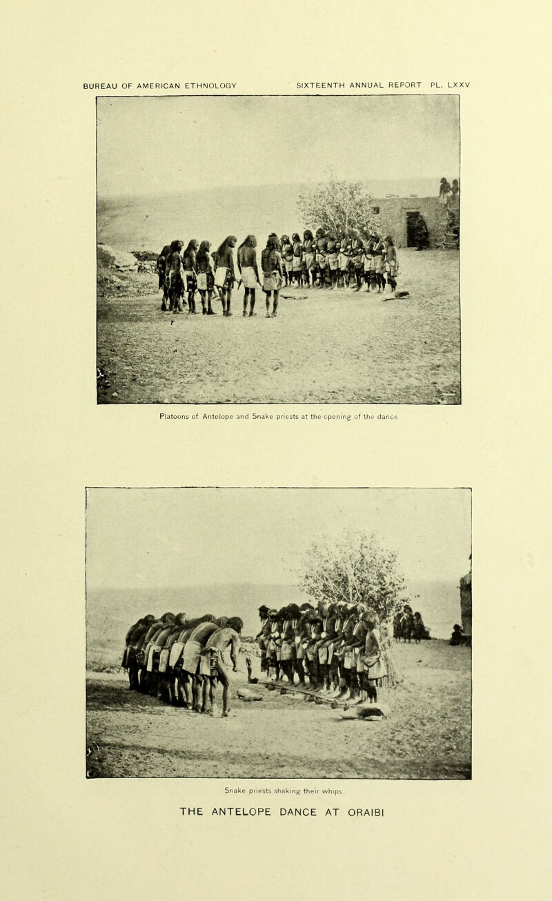 Platoons of Antelope and Snake priests at the opening of the dance Snake priests shaking their whips