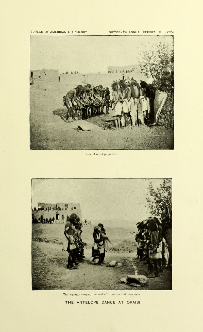 Bureau of American ethnology sixtEENtH annual report pl. lxxvi Line of Antelope priests The asperger carrying the wad of cornstalks and Dean vines