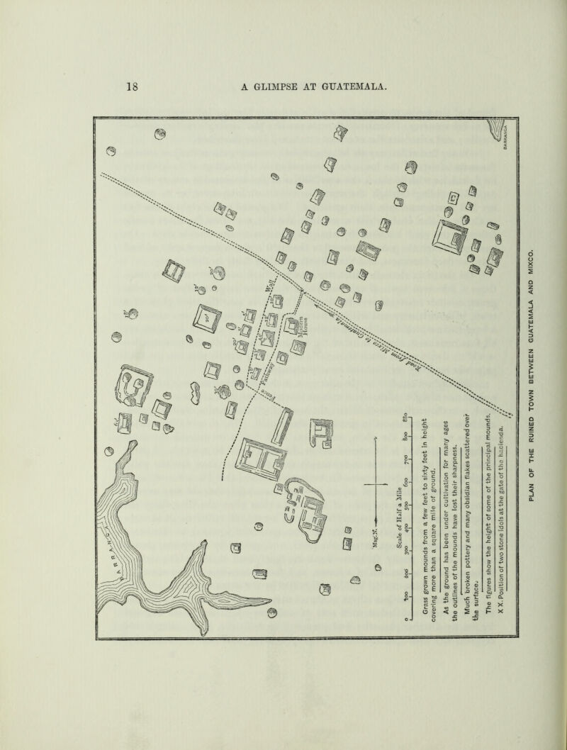 PLAN OF THE RUINED TOWN BETWEEN GUATEMALA AND MIXCO.