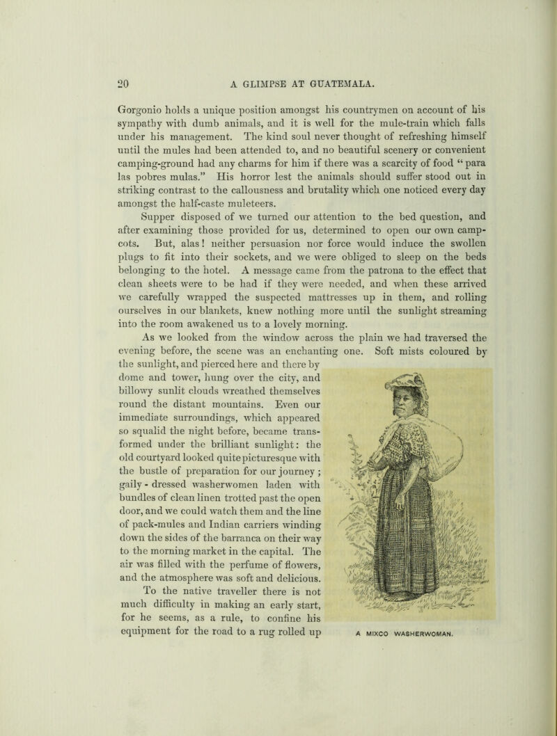 Gorgonio holds a unique positiou amongst his countrymen on account of his sympathy with dumb animals, and it is well for the mule-train which falls under his management. The kind soul never thought of refreshing himself until the mules had been attended to, and no beautiful scenery or convenient camping-ground had any charms for him if there was a scarcity of food “ para las pobres mulas.” His horror lest the animals should suffer stood out in striking contrast to the callousness and brutality which one noticed every day amongst the half-caste muleteers. Supper disposed of we turned our attention to the bed question, and after examining those provided for us, determined to open our own camp- cots. But, alas! neither persuasion nor force would induce the swollen plugs to fit into their sockets, and we were obliged to sleep on the beds belonging to the hotel. A message came from the patrona to the effect that clean sheets were to be had if they were needed, and when these arrived we carefully wrapped the suspected mattresses up in them, and rolling ourselves in our blankets, knew nothing more until the sunlight streaming into the room awakened us to a lovely morning. As we looked from the window across the plain we had traversed the evening before, the scene was an enchanting one. Soft mists coloured by the sunlight, and pierced here and there by dome and tower, hung over the city, and billowy sunlit clouds wreathed themselves round the distant mountains. Even our immediate surroundings, which appeared so squalid the night before, became trans- formed under the brilliant sunlight: the old courtyard looked quite picturesque with the bustle of preparation for our journey ; gaily - dressed washerwomen laden with bundles of clean linen trotted past the open door, and we could watch them and the line of pack-mules and Indian carriers winding down the sides of the barranca on their way to the morning market in the capital. The air was filled with the perfume of flowers, and the atmosphere was soft and delicious. To the native traveller there is not much difficulty in making an early start, for he seems, as a rule, to confine his equipment for the road to a rug rolled up A MIXCO WASHERWOMAN,