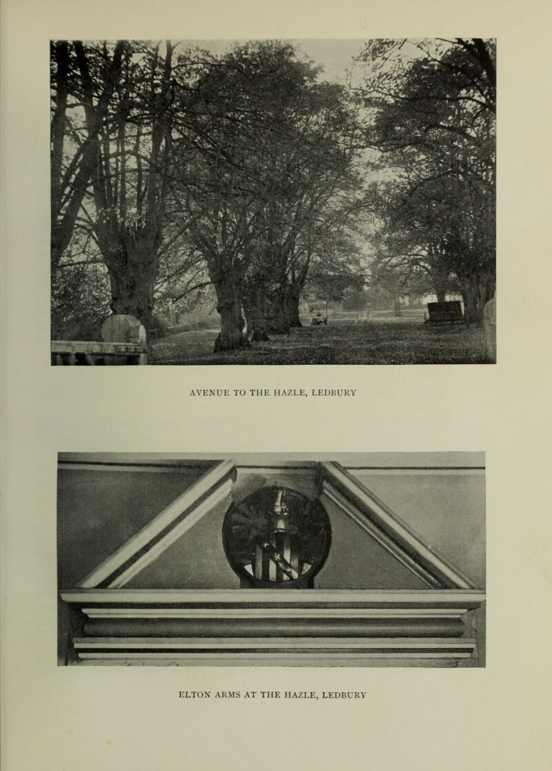 AVENUE TO THE IIAZLE, LEDBURY ELTON ARMS AT THE HAZLE, LEDBURY