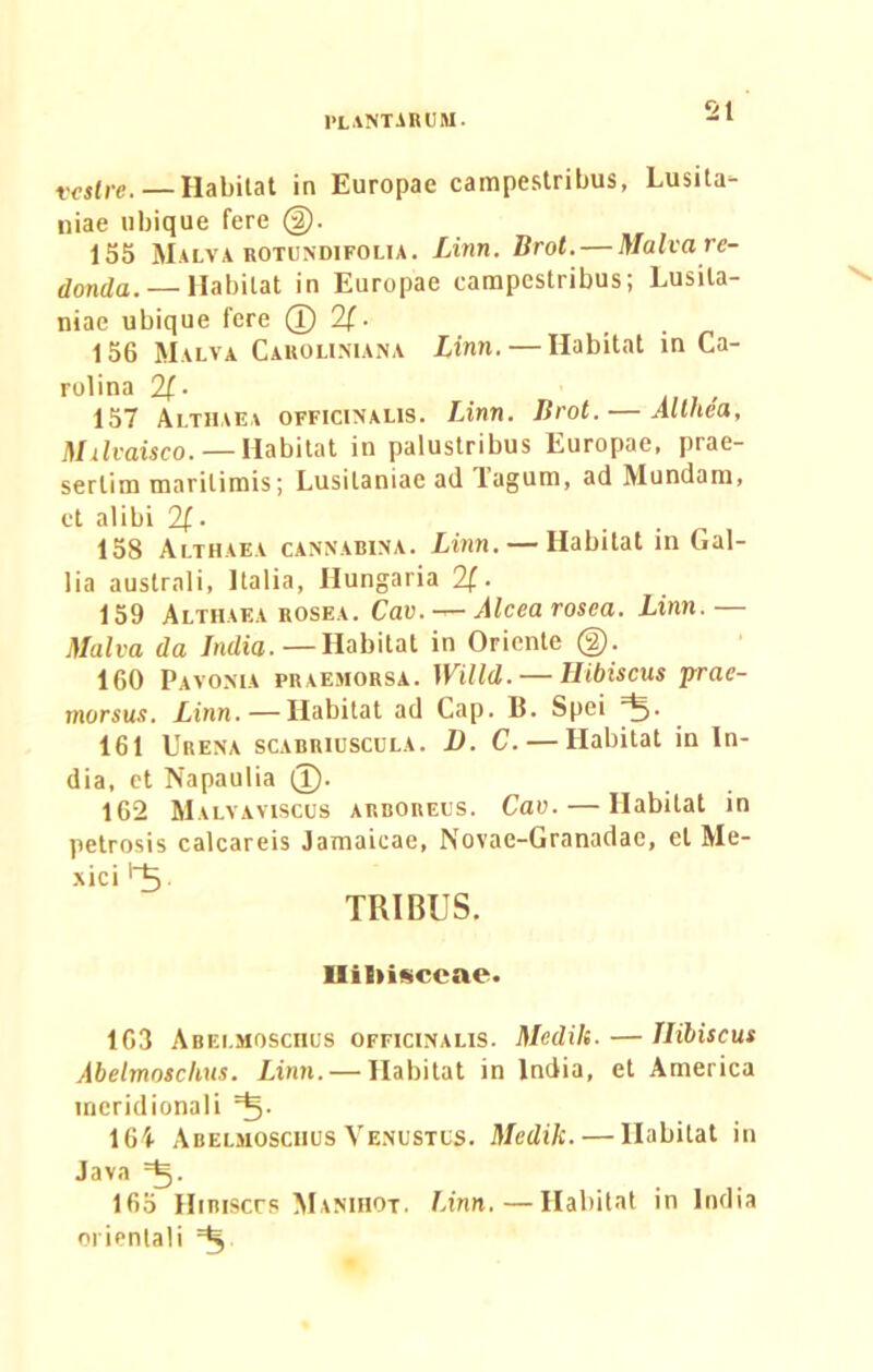 veslre. — Habitat in Europae campestribus, Lusita- niae ubique fere (§). 155 Malva rotundifolta. Linn. Brot.— Malvare- donda. — Habitat in Europae campestribus; Lusita- niae ubique fere (T) 21 ■ .. 156 Malva Caroliniana Linn. — Habitat in Ca- rolina 2[■ 157 Althaea officinalis. Linn. Brot. — Allhea, Milvaisco. — Habitat in palustribus Europae, prae- sertim maritimis; Lusitaniae ad lagum, ad Mundam, et alibi 2f. 158 Althaea cannabina. Linn. — Habitat in Gal- lia australi, Italia, Hungaria 2f • 159 Althaea rosea. Cav. —- Alcea rosea. Linn. — Malva da India. — Habitat in Oriente (f). 160 Pavonia praemorsa. Willd. — Hibiscus prae- morsus. Linn. — Habitat ad Gap. B. Spei =^. 161 Urena scabriusccla. D. C. — Habitat in In- dia, et Napaulia (I). 162 Malvaviscus arboreus. Cav. — Habitat in petrosis calcareis Jamaicae, Novae-Granadac, et Me- xici l_5 TRIBUS. lliliisccae. 163 Abelmosciius officinalis. Medik. — Hibiscus Abelmoschus. Linn. — Habitat in India, et America meridionali *§. 16i Abelmosciius Venustus. Medik. — Habitat in Java 165 Hibiscus Manihot. Linn. — Habitat in India orientali ^