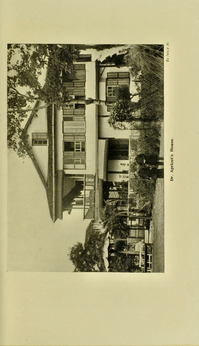 Dr. Apricot's House.