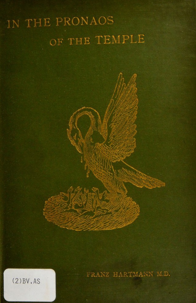 No text description is available for this image