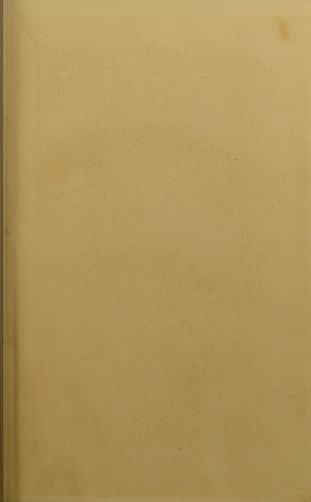 digitised image 3