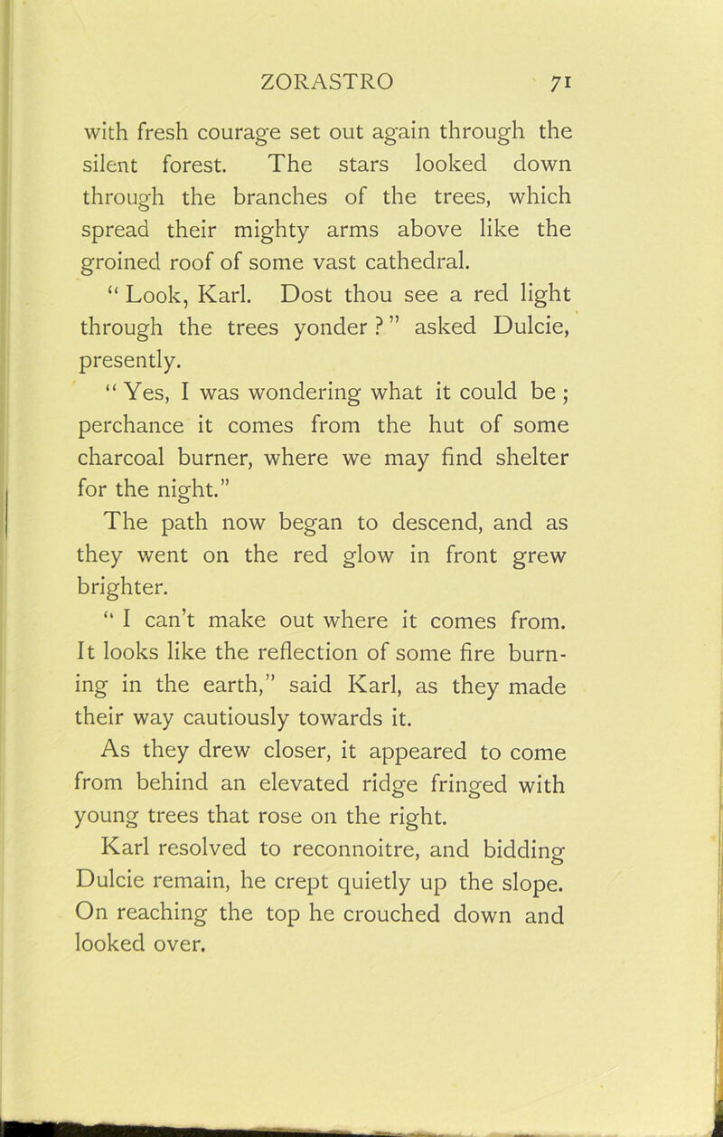 with fresh courage set out again through the silent forest. The stars looked down through the branches of the trees, which spread their mighty arms above like the groined roof of some vast cathedral. “ Look, Karl. Dost thou see a red light through the trees yonder ? ” asked Dulcie, presently. “ Yes, I was wondering what it could be ; perchance it comes from the hut of some charcoal burner, where we may find shelter for the night.” The path now began to descend, and as they went on the red glow in front grew brighter. “ I can’t make out where it comes from. It looks like the reflection of some fire burn- ing in the earth,” said Karl, as they made their way cautiously towards it. As they drew closer, it appeared to come from behind an elevated ridge fringed with young trees that rose on the right. Karl resolved to reconnoitre, and bidding Dulcie remain, he crept quietly up the slope. On reaching the top he crouched down and looked over.