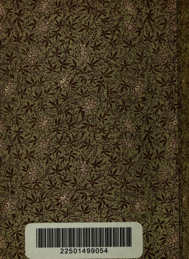 digitised image 2
