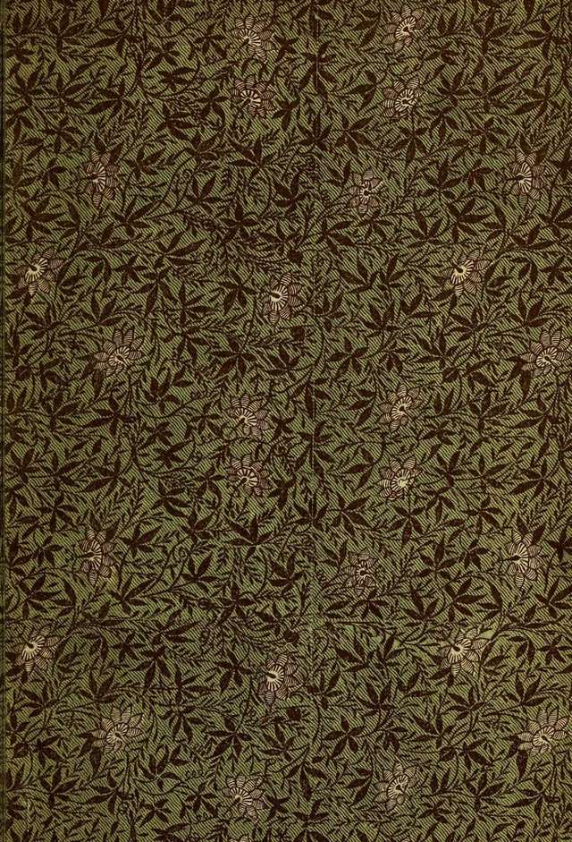 digitised image 3
