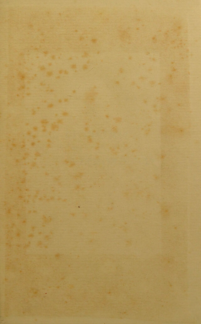 digitised image 3