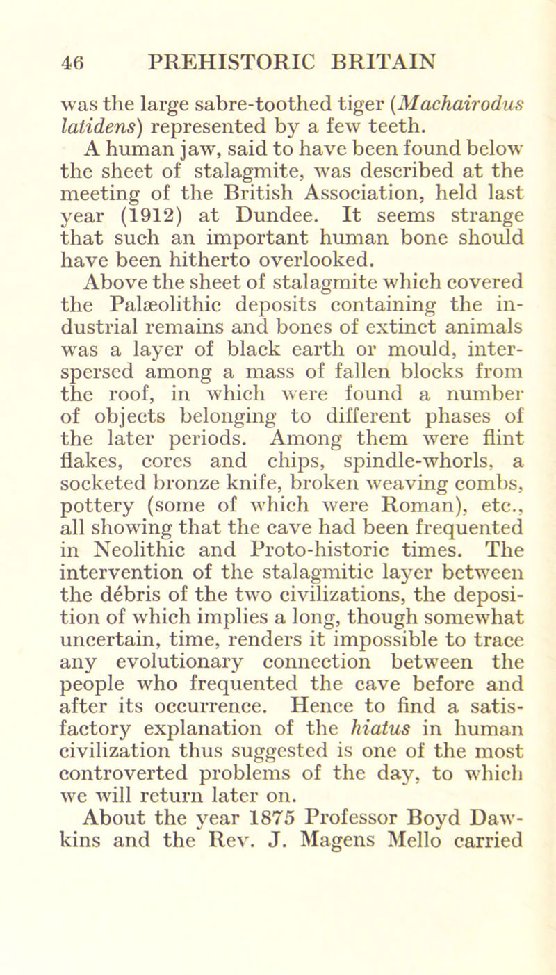 was the large sabre-toothed tiger (Machairodus latidens) represented by a few teeth. A human jaw, said to have been found below the sheet of stalagmite, was described at the meeting of the British Association, held last year (1912) at Dundee. It seems strange that such an important human bone should have been hitherto overlooked. Above the sheet of stalagmite which covered the Palaeolithic deposits containing the in- dustrial remains and bones of extinct animals was a layer of black earth or mould, inter- spersed among a mass of fallen blocks from the roof, in which were found a number of objects belonging to different phases of the later periods. Among them were flint flakes, cores and chips, spindle-whorls, a socketed bronze knife, broken weaving combs, pottery (some of which were Roman), etc., all showing that the cave had been frequented in Neolithic and Proto-historic times. The intervention of the stalagmitic layer between the debris of the two civilizations, the deposi- tion of which implies a long, though somewhat uncertain, time, renders it impossible to trace any evolutionary connection between the people who frequented the cave before and after its occurrence. Hence to find a satis- factory explanation of the hiatus in human civilization thus suggested is one of the most controverted problems of the day, to which we will return later on. About the year 1875 Professor Boyd Daw- kins and the Rev. J. Magens Hello carried