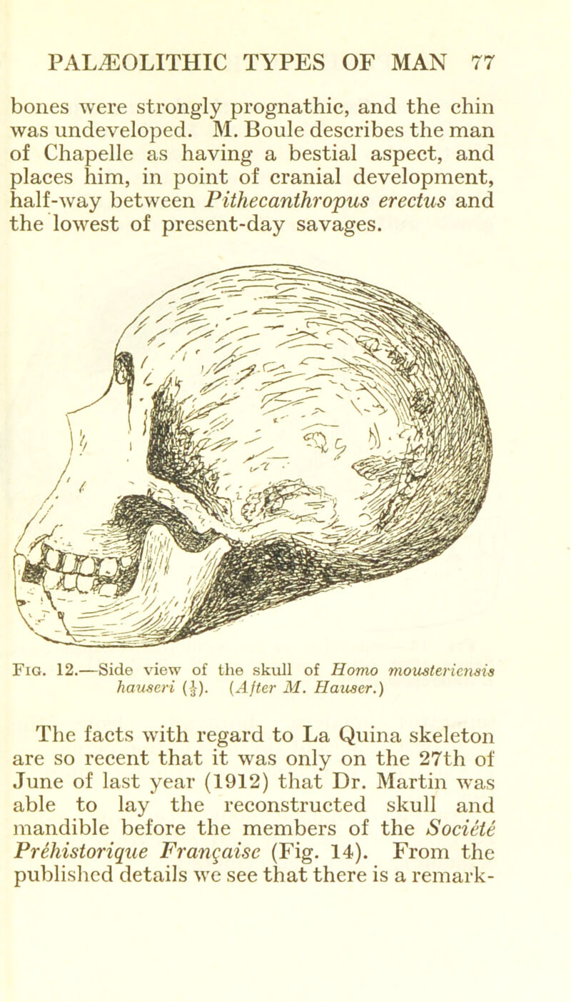 bones were strongly prognathic, and the chin was undeveloped. M. Boule describes the man of Chapelle as having a bestial aspect, and places him, in point of cranial development, half-way between Pithecanthropus erectus and the lowest of present-day savages. Fig. 12.—Side view of the skull of Homo moustericnais hauseri (£). (After M. Hauser.) The facts with regard to La Quina skeleton are so recent that it was only on the 27th of June of last year (1912) that Dr. Martin was able to lay the reconstructed skull and mandible before the members of the Societe Prehistorique Franqaisc (Fig. 14). From the published details we see that there is a remark-