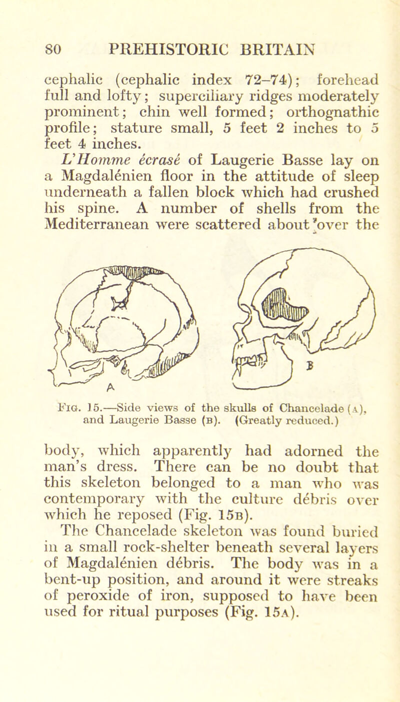 cephalic (cephalic index 72-74); forehead full and lofty; superciliary ridges moderately prominent; chin well formed; orthognathic profile; stature small, 5 feet 2 inches to 5 feet 4 inches. L’Homme ecrase of Laugerie Basse lay on a Magdalenien floor in the attitude of sleep underneath a fallen block which had crushed his spine. A number of shells from the Mediterranean were scattered about’over the Fig. 15.—Side views of the skulls of Chancelade (a), and Laugerie Basse (b). (Greatly reduced.) body, which apparently had adorned the man’s dress. There can be no doubt that this skeleton belonged to a man who was contemporary with the culture debris over which he reposed (Fig. 15b). The Chancelade skeleton was found buried in a small rock-shelter beneath several layers of Magdalenien debris. The body was in a bent-up position, and around it were streaks of peroxide of iron, supposed to have been used for ritual purposes (Fig. 15a).