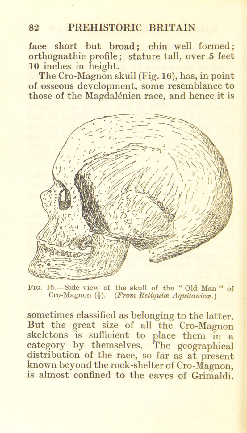 face short but broad; chin well formed; orthognathic profile; stature tall, over 5 feet 10 inches in height. The Cro-Magnon skull (Fig. 16), has, in point of osseous development, some resemblance to those of the Magdalenien race, and hence it is Cro-Magnon (£). (From Reliquice Aquitanicce.) sometimes classified as belonging to the latter. But the great size of all the Cro-Magnon skeletons is sufficient to place them in a category by themselves. The geographical distribution of the race, so far as at present known beyond the rock-shelter of Cro-Magnon, is almost confined to the caves of Grimaldi.