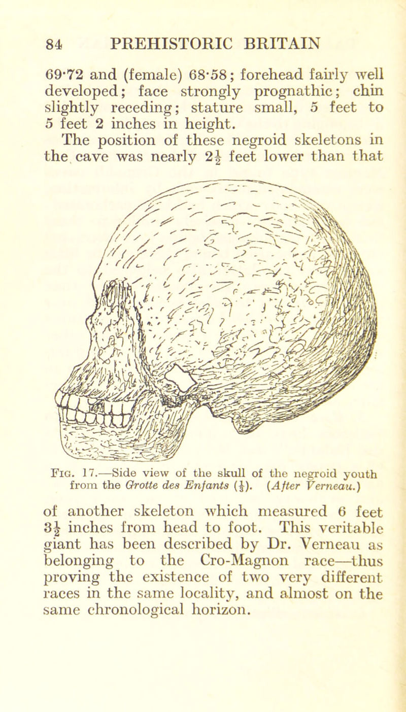 69-72 and (female) 68-58; forehead fairly well developed; face strongly prognathic; chin slightly receding; stature small, 5 feet to 5 feet 2 inches in height. The position of these negroid skeletons in the cave was nearly 2| feet lower than that of another skeleton which measured 6 feet 31 inches from head to foot. This veritable giant has been described by Dr. Verneau as belonging to the Cro-Magnon race—thus proving the existence of two very different, races in the same locality, and almost on the same chronological horizon.