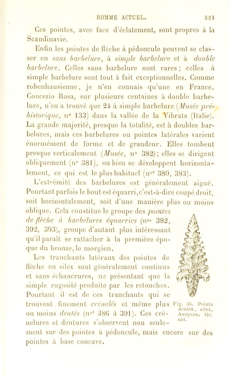 Ces pointes, avec face d’éclatement, sont propres à la Scandinavie. Enfin les pointes de flèche à pédoncule peuvent se clas- ser en sans barbelure, à simple barbelure et à double barbelure. Celles sans barbelure sont rares ; celles à simple barbelure sont tout à fait exceptionnelles. Gomme robenbausiennc, je n’en connais qu’une eu France. Concezio Rosa, sur plusieurs centaines à double barbe- lure, n’en a trouvé que 24 à simple barbelure {Musée pré- historique, n° 133) dans la vallée de la Yibrata (Italie). La grande majorité, presque la totalité, est à doubles bar- bel u res, mais ces barbelures ou pointes latérales varient énormément de forme et de grandeur. Elles tombent presque verticalement [Musée, n° 382); elles se dirigent obliquement (n° 381), ou bien se développent horizonta- lement, ce qui est le plus habituel (njS 380, 383). L’extrémité des barbelures est généralement aiguë. Pourtant parfois le bout est équarri,c’est-à-dire coupé droit, soit horizontalement, soit d’une manière plus ou moins oblique. Cela constitue le groupe des pointes de flèche à barbelures équarries (n0* 382, 392, 393), groupe d’autant plus intéressant qu’il paraît se rattacher à la première épo- que du bronze, le morgien. Les tranchants latéraux des pointes de llèche en silex sont généralement continus et sans échancrures, ne présentant que la simple rugosité produite par les retouches. Pourtant il est de ces tranchants qui se trouvent finement crénelés et même plus Fig. sg. Pointe ou moins dentés (n°s 386 à 391). Ces cré- Aveyron. Gr.’ nelures et dentures s’observent non seule- nnl' ment sur des pointes à pédoncule, mais encore sur des pointes à base concave.