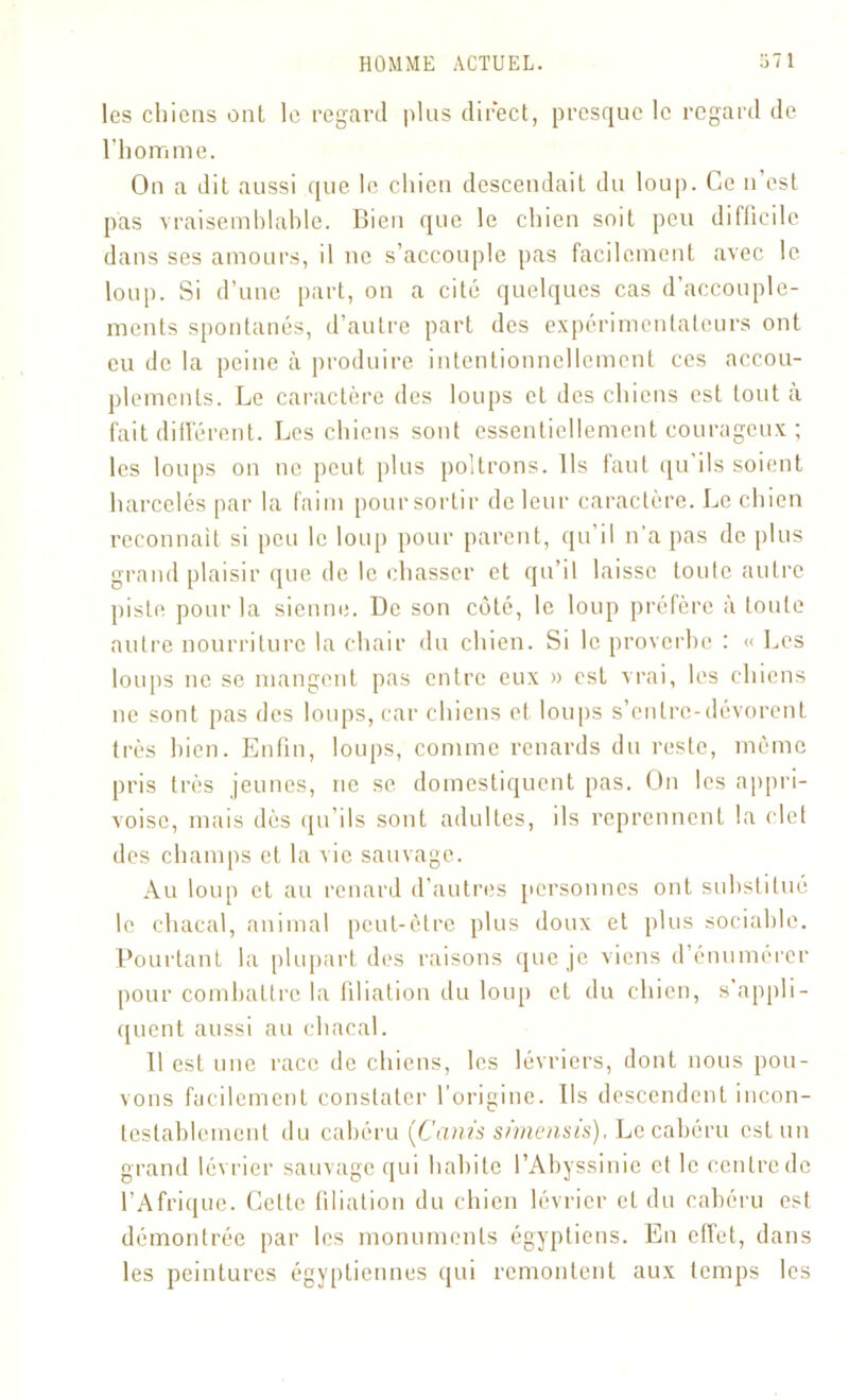les chiens ont le regard plus direct, presque le regard de. l’homme. On a dit aussi que le chien descendait du loup. Ce n est pas vraisemblable. Bien que le chien soit peu difficile dans ses amours, il ne s’accouple pas facilement avec le loup. Si d’une part, on a cité quelques cas d’accouple- ments spontanés, d’autre part des expérimentateurs ont eu de la peine à produire intentionnellement ces accou- plements. Le caractère des loups et des chiens est tout à fait différent. Les chiens sont essentiellement courageux ; les loups on ne peut plus poltrons. Ils faut qu'ils soient harcelés par la faim pour sortir de leur caractère. Le chien reconnaît si peu le loup pour parent, qu il n’a pas de plus grand plaisir que de le chasser et qu’il laisse toute autre piste pour la sienne. De son côté, le loup préfère à toute autre nourriture la chair du chien. Si le proverbe : « Les loups ne se mangent pas entre eux » est vrai, les chiens ne sont pas des loups, car chiens et loups s’entre-dévorent très bien. Enfin, loups, comme renards du reste, même pris très jeunes, ne se domestiquent pas. On les appri- voise, mais dès qu’ils sont adultes, ds reprennent la clet des champs et, la vie sauvage. Au loup et au renard d’autres personnes ont substitué le chacal, animal peut-être plus doux et plus sociable. Pourtant la plupart des raisons que je viens d’énumérer pour combattre la filiation du loup et du chien, s’appli- quent aussi au chacal. 11 est une race de chiens, les lévriers, dont nous pou- vons facilement constater l’origine. Ils descendent incon- testablement du cabéru (Canis simensis). Le cabéru est un grand lévrier sauvage qui habite l’Abyssinie et le centre de l’Afrique. Cette filiation du chien lévrier et du cabéru est démontrée par les monuments égyptiens. En effet, dans les peintures égyptiennes qui remontent aux temps les