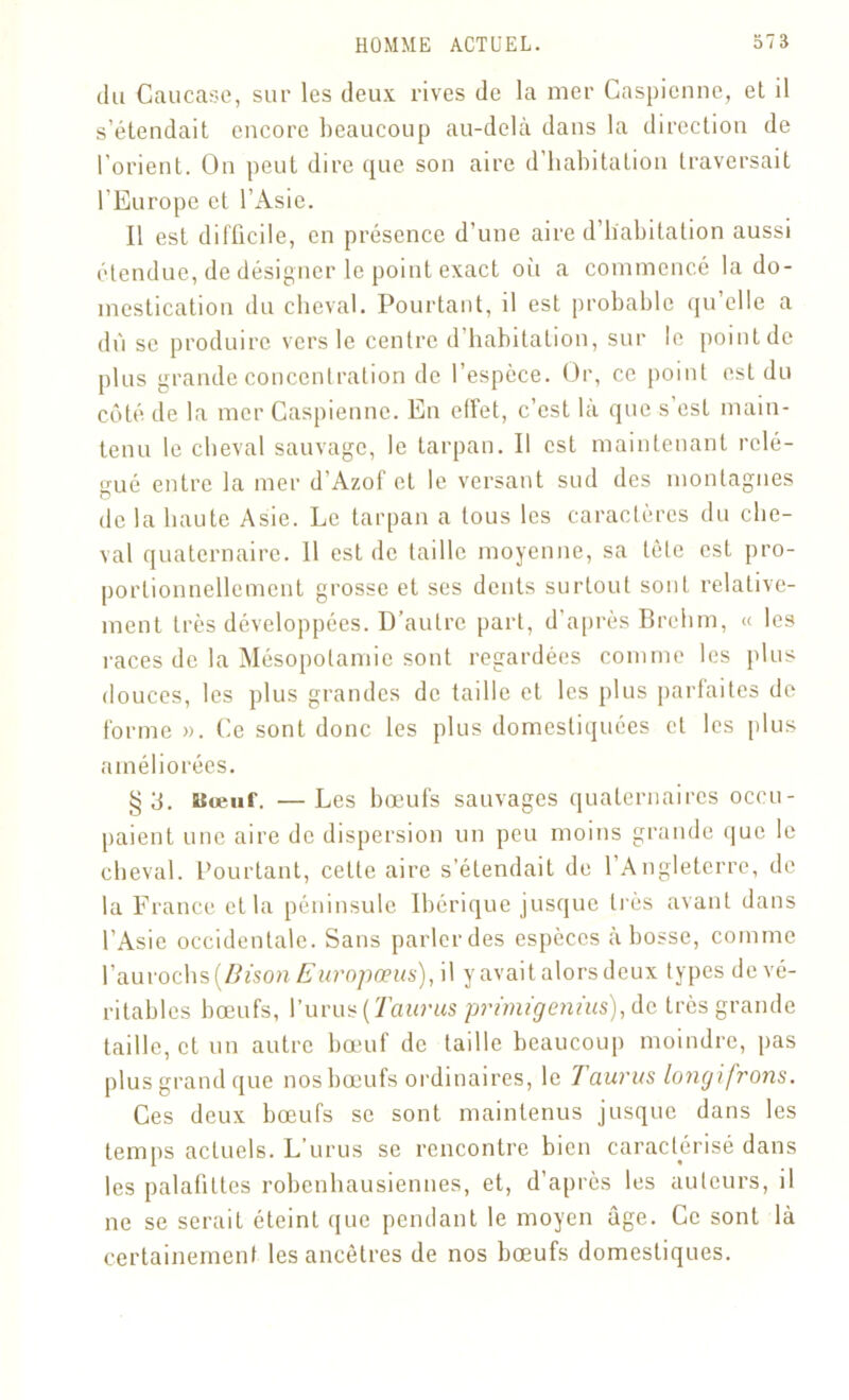 du Caucase, sur les deux rives de la mer Caspienne, et il s’étendait encore beaucoup au-delà dans la direction de l’orient. On peut dire que son aire d’habitation traversait l’Europe et l’Asie. Il est difficile, en présence d’une aire d’habitation aussi étendue, de désigner le point exact où a commencé la do- mestication du cheval. Pourtant, il est probable qu’elle a dû se produire vers le centre d’habitation, sur le point de plus grande concentration de l’espèce. Or, ce point est du côté de la mer Caspienne. En effet, c’est là que s est main- tenu le cheval sauvage, le tarpan. Il est maintenant rclé- gué entre la mer d’Azof et le versant sud des montagnes de la haute Asie. Le tarpan a tous les caractères du che- val quaternaire. 11 est de taille moyenne, sa tête est pro- portionnellement grosse et ses dents surtout sont relative- ment très développées. D’autre part, d’après Brelim, « les races de la Mésopotamie sont regardées comme les plus douces, les plus grandes de taille et les plus parfaites de forme ». Ce sont donc les plus domestiquées et les plus améliorées. §3. Bœuf. —Les bœufs sauvages quaternaires occu- paient une aire de dispersion un peu moins grande que le cheval. Pourtant, cette aire s’étendait de l’Angleterre, de la France et la péninsule Ibérique jusque très avant dans l’Asie occidentale. Sans parler des espèces à bosse, comme l’aurochs [Bison Europœus), il y avait alors deux types de vé- ritables bœufs, l’urus (Taurus primigenïus), de très grande taille, et un autre bœuf de taille beaucoup moindre, pas plus grand que nos bœufs ordinaires, le Taurus longifrons. Ces deux bœufs se sont maintenus jusque dans les temps actuels. L’urus se rencontre bien caractérisé dans les palafittes robenhausiennes, et, d’après les auteurs, il ne se serait éteint que pendant le moyen âge. Ce sont là certainement les ancêtres de nos bœufs domestiques.