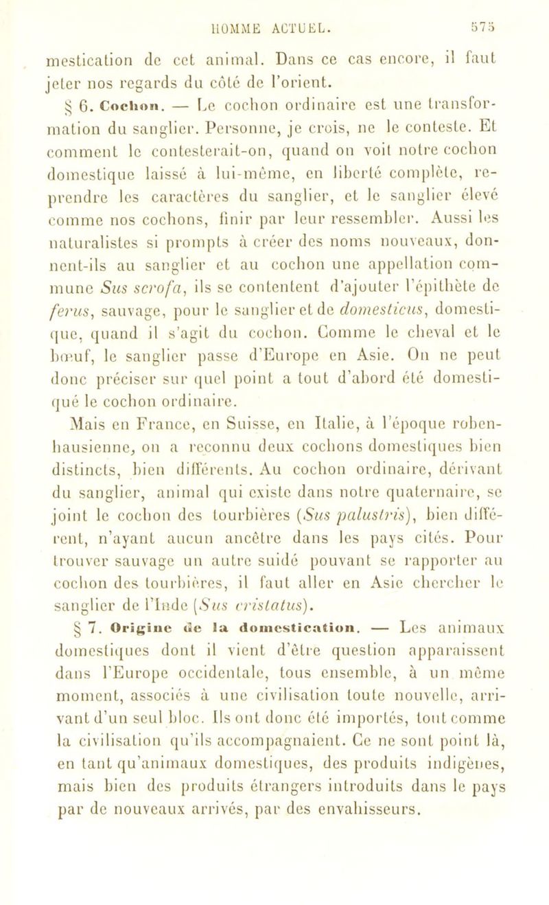 mestication de cet animal. Dans ce cas encore, il faut jeter nos regards du côté de l’orient. § 6. Cochon. — Le cochon ordinaire est une transfor- mation du sanglier. Personne, je crois, ne le conteste. Et comment le contesterait-on, quand on voit notre cochon domestique laissé à lui-même, en liberté complète, re- prendre les caractères du sanglier, et le sanglier élevé comme nos cochons, finir par leur ressembler. Aussi les naturalistes si prompts à créer des noms nouveaux, don- nent-ils au sanglier et au cochon une appellation com- mune Sus scrofa, ils se contentent d’ajouter l’épithète de férus, sauvage, pour le sanglier et de domesticus, domesti- que, quand il s’agit du cochon. Gomme le cheval et le bœuf, le sanglier passe d’Europe en Asie. On ne peut donc préciser sur quel point a tout d’abord été domesti- qué le cochon ordinaire. Mais en France, en Suisse, en Italie, à l’époque roben- hausicnne, on a reconnu deux cochons domestiques bien distincts, bien différents. Au cochon ordinaire, dérivant du sanglier, animal qui existe dans notre quaternaire, se joint le cochon des tourbières (Sus paluslris), bien diffé- rent, n’ayant aucun ancêtre dans les pays cités. Pour trouver sauvage un autre suidé pouvant se rapporter au cochon des tourbières, il faut aller en Asie chercher le sanglier de l’Inde (Sus cristatus). § 7. Origine ue la domestication. — Les animaux domestiques dont il vient d’être question apparaissent dans l’Europe occidentale, tous ensemble, à un même moment, associés à une civilisation toute nouvelle, arri- vant d’un seul bloc. Ils ont donc été importés, tout comme la civilisation qu’ils accompagnaient. Ce ne sont point là, en tant qu’animaux domestiques, des produits indigènes, mais bien des produits étrangers introduits dans le pays par de nouveaux arrivés, par des envahisseurs.