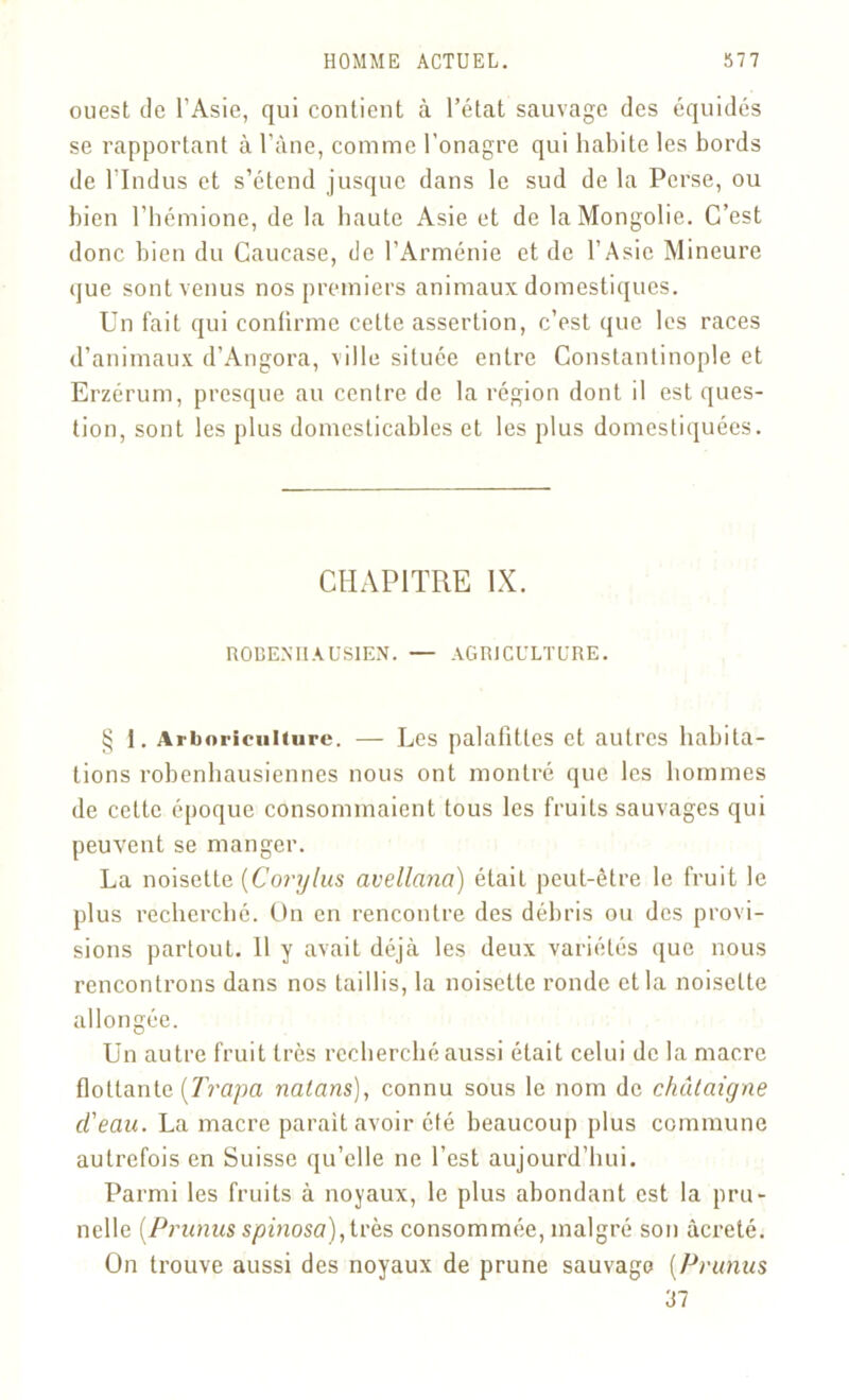 ouest de l’Asie, qui contient à l’état sauvage des équidés se rapportant à l’àne, comme l'onagre qui habite les bords de l’Indus et s’étend jusque dans le sud de la Perse, ou bien l’bémione, de la haute Asie et de la Mongolie. C’est donc bien du Caucase, de l’Arménie et de l’Asie Mineure (jue sont venus nos premiers animaux domestiques. Un fait qui conlirme cette assertion, c’est que les races d’animaux d’Angora, ville située entre Constantinople et Erzérum, presque au centre de la région dont il est ques- tion, sont les plus domesticables et les plus domestiquées. CHAPITRE IX. ROBENIl AUS1EN. — AGRICULTURE. § 1. Arboriculture. — Les palalittes et autres habita- tions robenhausiennes nous ont montré que les hommes de cette époque consommaient tous les fruits sauvages qui peuvent se manger. La noisette (Corylus avellana) était peut-être le fruit le plus recherché. On en rencontre des débris ou des provi- sions partout. 11 y avait déjà les deux variétés que nous rencontrons dans nos taillis, la noisette ronde et la noisette allongée. Un autre fruit très recherché aussi était celui de la macro flottante [Trapa nalans), connu sous le nom de châtaigne d'eau. La macre parait avoir été beaucoup plus commune autrefois en Suisse qu’elle ne l’est aujourd’hui. Parmi les fruits à noyaux, le plus abondant est la pru- nelle [Prunus spinosa),très consommée, malgré son âcreté. On trouve aussi des noyaux de prune sauvage (Prunus 37