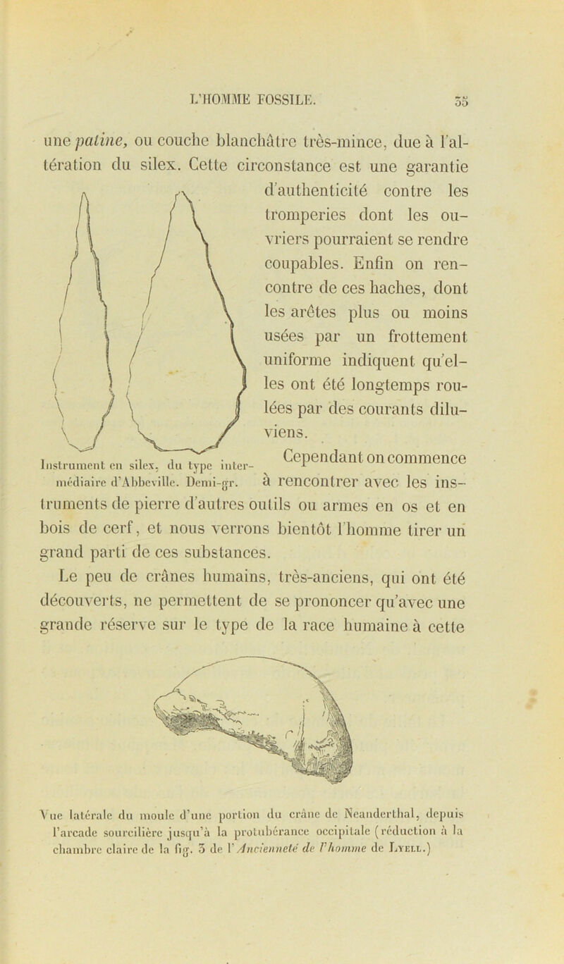 une patine, ou couche blanchâtre très-mince, due à l’al- tération du silex. Cette circonstance est une garantie liislrument en silex, du type inter- médiaire d’Al)beville. Denii-{jr. d authenticité contre les tromperies dont les ou- vriers pourraient se rendre coupables. Enfin on ren- contre de ces haches, dont les arêtes plus ou moins usées par un frottement uniforme indiquent quel- les ont été longtemps rou- lées par des courants dilu- viens. Cependant on commence à rencontrer avec les ins- truments de pierre d’autres outils ou armes en os et en bois de cerf, et nous verrons bientôt l’homme tirer un grand parti de ces substances. Le peu de crânes humains, très-anciens, qui ont été découverts, ne permettent de se prononcer qu’avec une grande réserve sur le type de la race humaine à cette Vue latérale du moule d’une portion du crâne de Neandertiial, depuis l’arcade sourcilière jusqu’à la protubérance occipitale (réduction a la