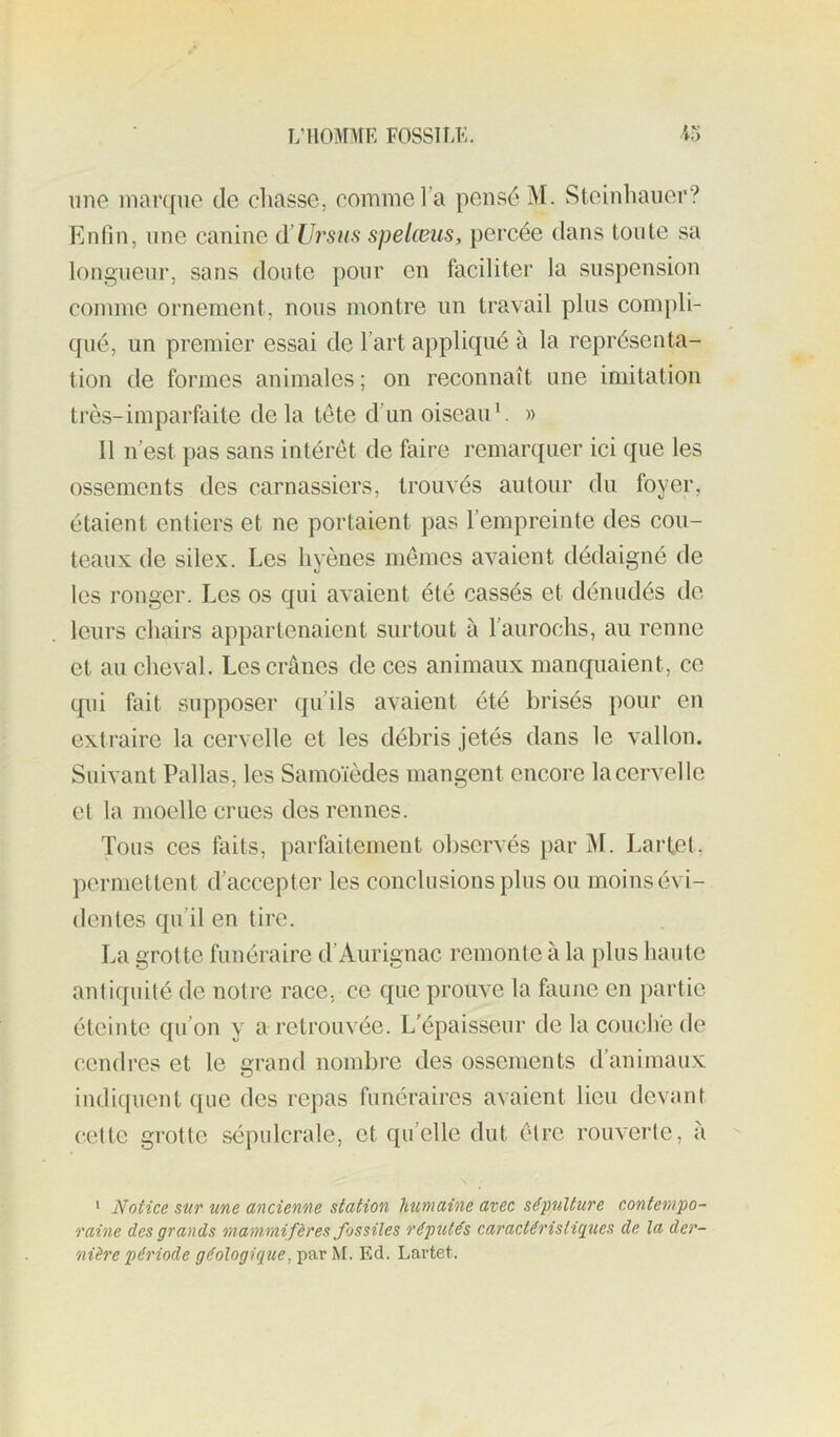 line marque de cliasse, comme l’a pensé ÎM. Steinhauer? Enfin, une canine d’Lh'Siis spelœus, percée dans toute sa longueur, sans doute pour en faciliter la suspension comme ornement, nous montre un travail plus compli- qué, un premier essai de l’art appliqué à la représenta- tion de formes animales ; on reconnaît une imitation très-imparfaite de la tête d’un oiseau ^ » Il n’est pas sans intérêt de faire remarquer ici que les ossements des carnassiers, trouvés autour du foyer, étaient entiers et ne portaient pas l’empreinte des cou- teaux de silex. Les hyènes mêmes avaient dédaigné de les ronger. Les os qui avaient été cassés et dénudés de leurs chairs appartenaient surtout à l’aurochs, au renne et au cheval. Les crânes de ces animaux manquaient, ce qui fait supposer qu’ils avaient été brisés pour eu extraire la cervelle et les débris jetés dans le vallon. Suivant Pallas, les Samoïèdes mangent encore la cervelle et la moelle crues des rennes. Tous ces faits, parfaitement observés par M. Larfet, permettent d’accepter les conclusions plus ou moins évi- dentes qu’il en tire. La grotte funéraire d’Aurignac remonte à la plus haute antiquité de notre race, ce que prouve la faune en partie éteinte qu’on y a retrouvée. L’épaisseur de la couche de cendres et le grand nombre des ossements d’animaux indiquent que des repas funéraires avaient lieu devant cette grotte sépulcrale, et qu’elle dut être rouverte, à * Notice stir une ancienne station humaine avec sépulture contempo- raine des grands mammifères fossiles réputés caractéristiques de la der- nière période géologique, par M. Ed. Lartet.