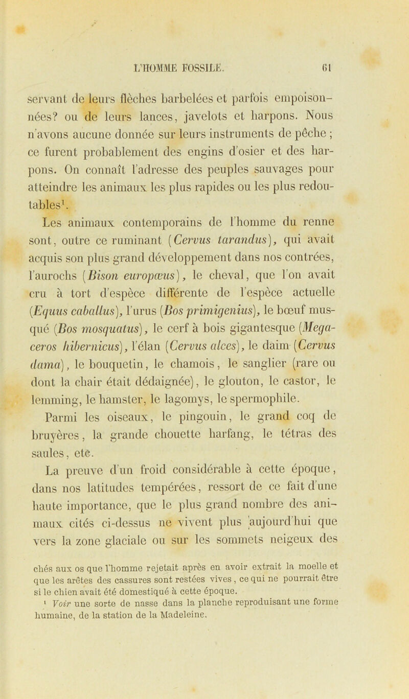 sei'vant de leurs flèches barbelées et parfois empoison- nées? ou de leurs lances, javelots et harpons. Nous Il avons aucune donnée sur leurs instruments de pêche ; ce furent probablement des engins d’osiei' et des har- pons. On connaît l’adresse des peuples sauvages pour atteindre les animaux les plus rapides ou les plus redou- lablesh Les animaux contemporains de l’homme du renne sont, outre ce ruminant [Cervus tarandus), qui avait acquis son plus grand développement dans nos contrées, l’aurochs [Bison europœiis), le cheval, que l’on avait cru à tort d’espèce différente de l’espèce actuelle [Equus cabcdlus), l’urus [Bos primigenius], le bœuf mus- qué [Bos mosqualus], le cerf à bois gigantesque [Mega- ceros hibernicus), l’élan [Cervus cilces), le daim [Cervus dama), le bouquetin, le chamois, le sanglier (rare ou dont la chair était dédaignée), le glouton, le castor, le lemming, le hamster, le lagomys, le spermophile. Parmi les oiseaux, le pingouin, le grand coq de bruyères, la grande chouette harfang, le tétras des saules, etc. La preuve d’un froid considérable à cette époque, dans nos latitudes tempérées, ressort de ce fait d’une haute importance, que le plus grand nombre des ani- maux cités ci-dessus ne vivent plus aujourd’hui que vers la zone glaciale ou sur les sommets neigeux des cliés aux os que l’homme rejetait après en avoir extrait la moelle et que les arêtes des cassures sont restées vives , ce qui ne pourrait être si le chien avait été domestiqué à cette époque. • Voir une sorte de nasse dans la planche reproduisant une forme humaine, de la station de la Madeleine.
