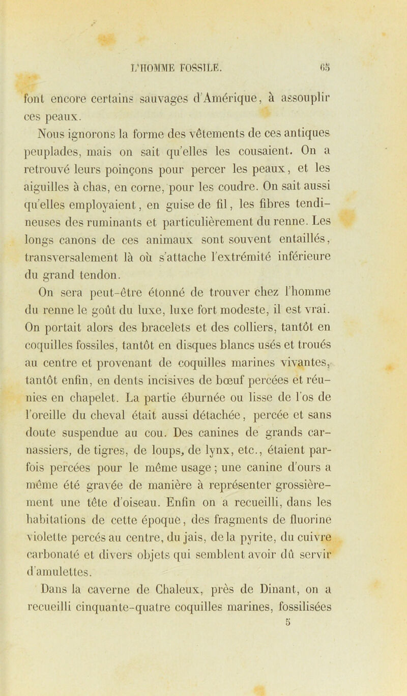 font encore certains sauvages d’Amérique, à assouplir ces peaux. Nous ignorons la forme des vêtements de ces antiques peuplades, mais on sait quelles les cousaient. On a retrouvé leurs poinçons pour percer les peaux, et les aiguilles à chas, en corne, pour les coudre. On sait aussi quelles employaient, en guise de fil, les fibres tendi- neuses des ruminants et particulièrement du renne. Les longs canons de ces animaux sont souvent entaillés, transversalement là oii s’attache l’extrémité inférieure du grand tendon. On sera peut-être étonné de trouver chez l’homme du renne le goût du luxe, luxe fort modeste, il est vrai. On portait alors des bracelets et des colliers, tantôt en coquilles fossiles, tantôt en disques blancs usés et troués au centre et provenant de coquilles marines vivantes, tantôt enfin, en dents incisives de bœuf percées et réu- nies en chapelet. La partie ébiirnée ou lisse de l’os de l’oreille du cheval était aussi détachée, percée et sans doute suspendue au cou. Des canines de grands car- nassiers, de tigres, de loups, de lynx, etc., étaient par- fois percées pour le même usage ; une canine d’ours a même été gravée de manière à représenter grossière- ment une tête d’oiseau. Enfin on a recueilli, dans les habitai ions de cette époque, des fragments de fluorine violette percés au centre, du jais, delà pyrite, du cuivre carbonaté et divers objets qui semblent avoir dû servir d’amulettes. Dans la caverne de Chaleux, près de Dinant, on a recueilli cinquante-quatre coquilles marines, fossilisées 5
