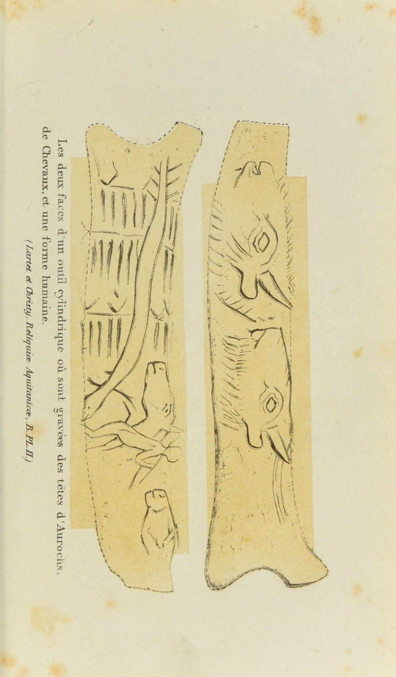 Les deux faxcs d'im outil t^vTuidiiquc où sout «ua-vées des tètes d’AurociLs, de Chevaux, et uue foraie huniaiue. ( Lartet et Christÿ, RelUfaiæ Aquitanicce, B. PL. II.) >