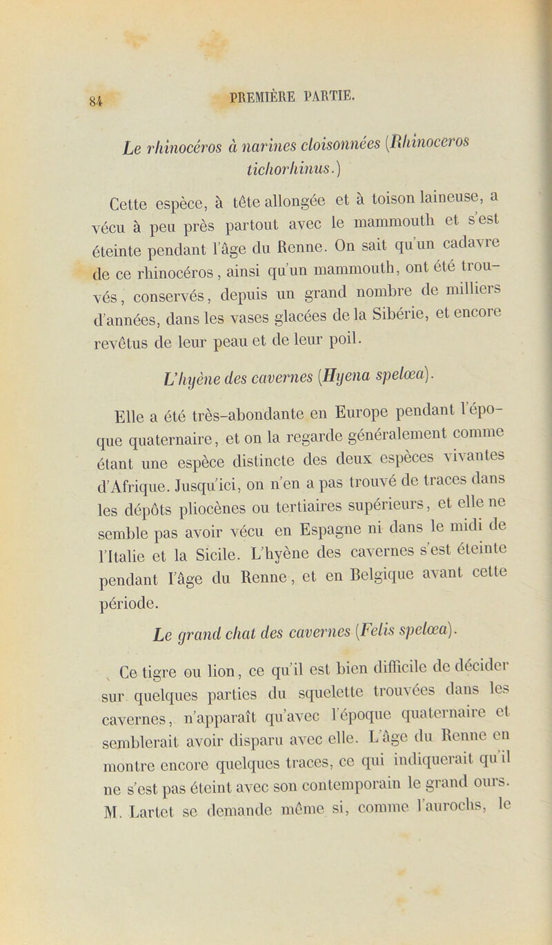 U Le rhinocéros à narines cloisonnées [Rhinocéros tichorhinus.) Cette espèce, à tête allongée et à toison laineuse, a vécu à peu près partout avec le mammouth et s est éteinte pendant l’âge du Renne. On sait qu’un cadavre de ce rhinocéros , ainsi quun mammouth, ont été trou- vés , conservés, depuis un grand nombre de milliers d’années, dans les vases glacées de la Sibérie, et encoie revêtus de leur peau et de leur poil. Uhijène des cavernes [Hyena spelœa). Elle a été très-abondante en Europe pendant 1 épo- que quaternaire, et on la regarde généi alement comme étant une espèce distincte des deux espèces vivantes d’Afrique. Jusqu’ici, on n’en a pas trouvé de traces dans les dépôts pliocènes ou tertiaires supérieurs, et elle ne semble pas avoir vécu en Espagne ni dans le midi de l’Italie et la Sicile. L’hyène des cavernes s’est éteinte pendant l’âge du Renne, et en Belgique avant cette période. Le grand chat des cavernes [Felis spelœa). Ce tigre ou lion, ce qu’il est bien diflicile de décidci sur quelques parties du squelette trouvées dans les cavernes, n’apparaît qu’avec 1 époque quaternaire et semblerait avoir disparu avec elle. L âge du Renne en montre encore quelques traces, ce qui indiquerait qu il ne s’est pas éteint avec son contemporain le grand ours. M. Lartet se demande même si, comme raurochs, le