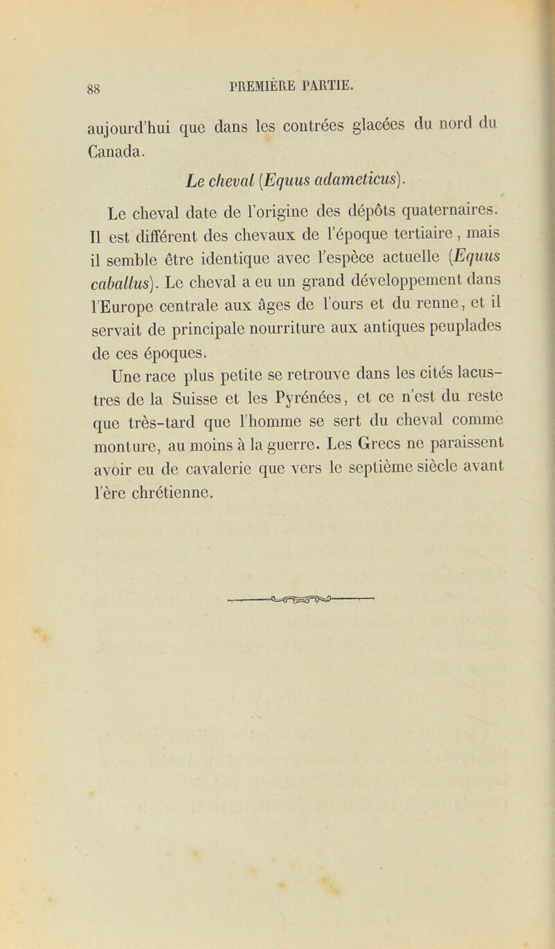 aujourd’hui que dans les contrées glacees du nord du Canada. Le cheval [Equiis aclameticus). Le cheval date de l’origine des dépôts quaternaires. Il est différent des chevaux de l’époque tertiaire, mais il semble être identique avec l’espèce actuelle [Equus caballus). Le cheval a eu un grand développement dans l’Europe centrale aux âges de l’ours et du renne, et il servait de principale nourriture aux antiques peuplades de ces époques. Une race plus petite se retrouve dans les cités lacus- tres de la Suisse et les Pyrénées, et ce n’est du reste que très-tard que l’homme se sert du cheval comme monture, au moins à la guerre. Les Grecs ne paraissent avoir eu de cavalerie que vers le septième siècle avant l’ère chrétienne.