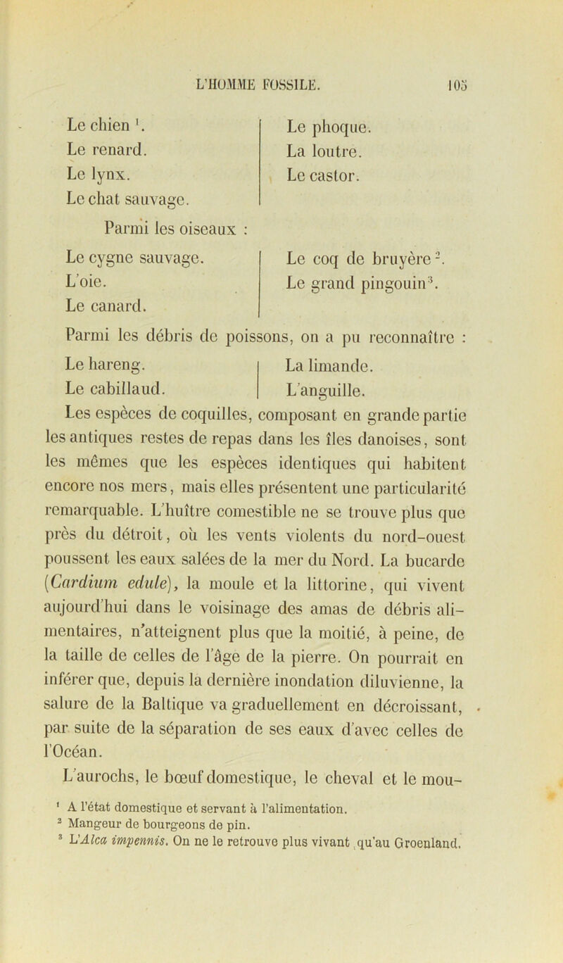 Le chien '. Le renard. Le lynx. Le chat sauvage. Le phoque La loutre. Le castor. Parmi les oiseaux ; Le cygne sauvage. L’oie. Le coq de bruyère-. Le grand pingouin'L Le canard. Parmi les débris de poissons, on a pu reconnaître : Les espèces de coquilles, composant en grande partie les antiques restes de repas dans les îles danoises, sont les mêmes que les espèces identiques qui habitent encore nos mers, mais elles présentent une particularité remarquable. L’huître comestible ne se trouve plus que près du détroit, oîi les vents violents du nord-ouest poussent les eaux salées de la mer du Nord. La bucarde (Cardiiim edule), la moule et la littorine, qui vivent aujourd’hui dans le voisinage des amas de débris ali- mentaires, n'atteignent plus que la moitié, à peine, de la taille de celles de l’âge de la pierre. On pourrait en inférer que, depuis la dernière inondation diluvienne, la salure de la Baltique va graduellement en décroissant, . par suite de la séparation de ses eaux d’avec celles de l’Océan. L’aurochs, le bœuf domestique, le cheval et le mou- ' A l’état domestique et servant à l’alimentation. ^ Mangeur de bourgeons de pin. ® L'Alca impennis. On ne le retrouve plus vivant .qu’au Groenland. Le hareng. Le cabillaud. La limande. L’anguille.